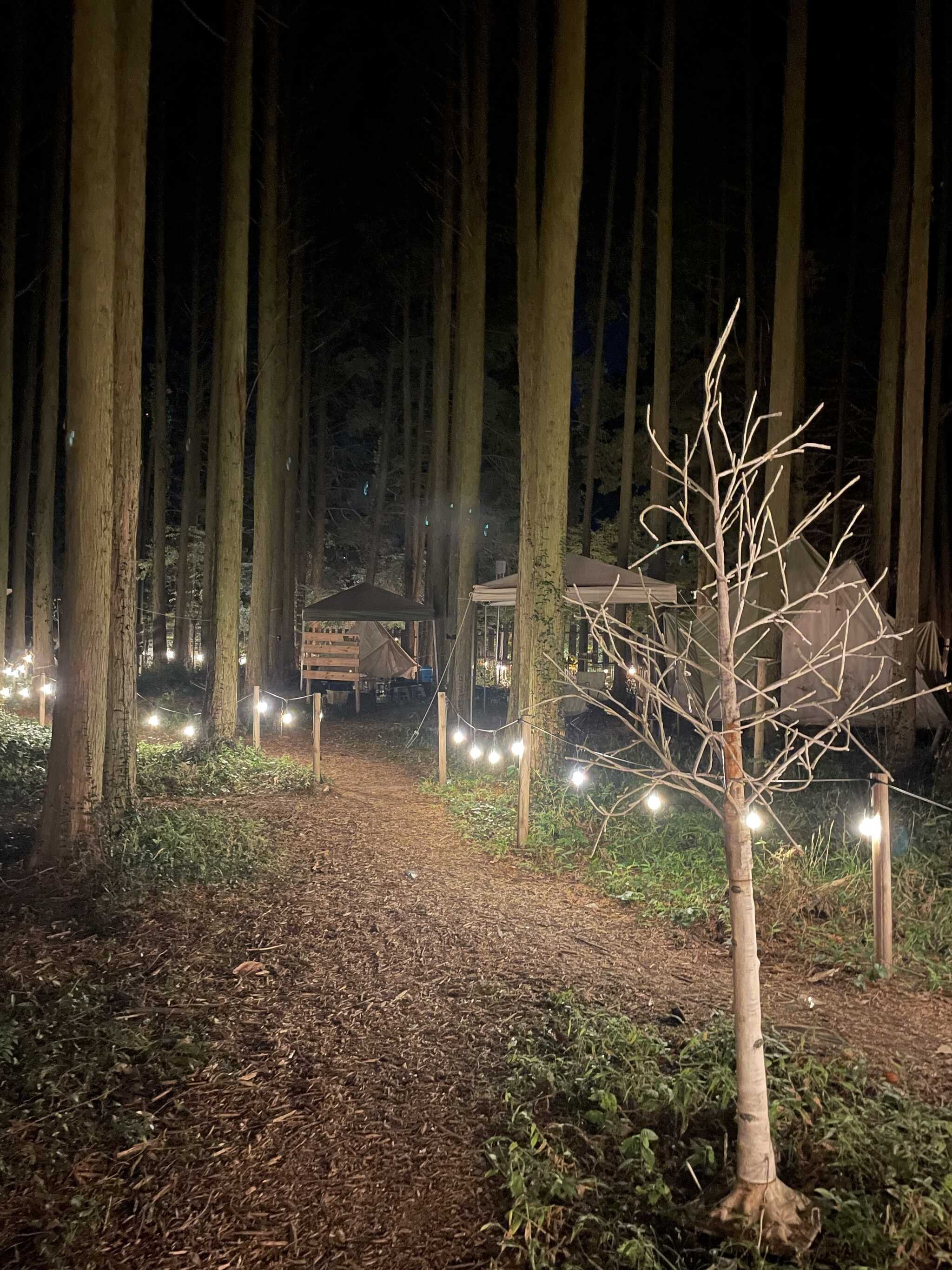 夜も電気は点いているので安心です。