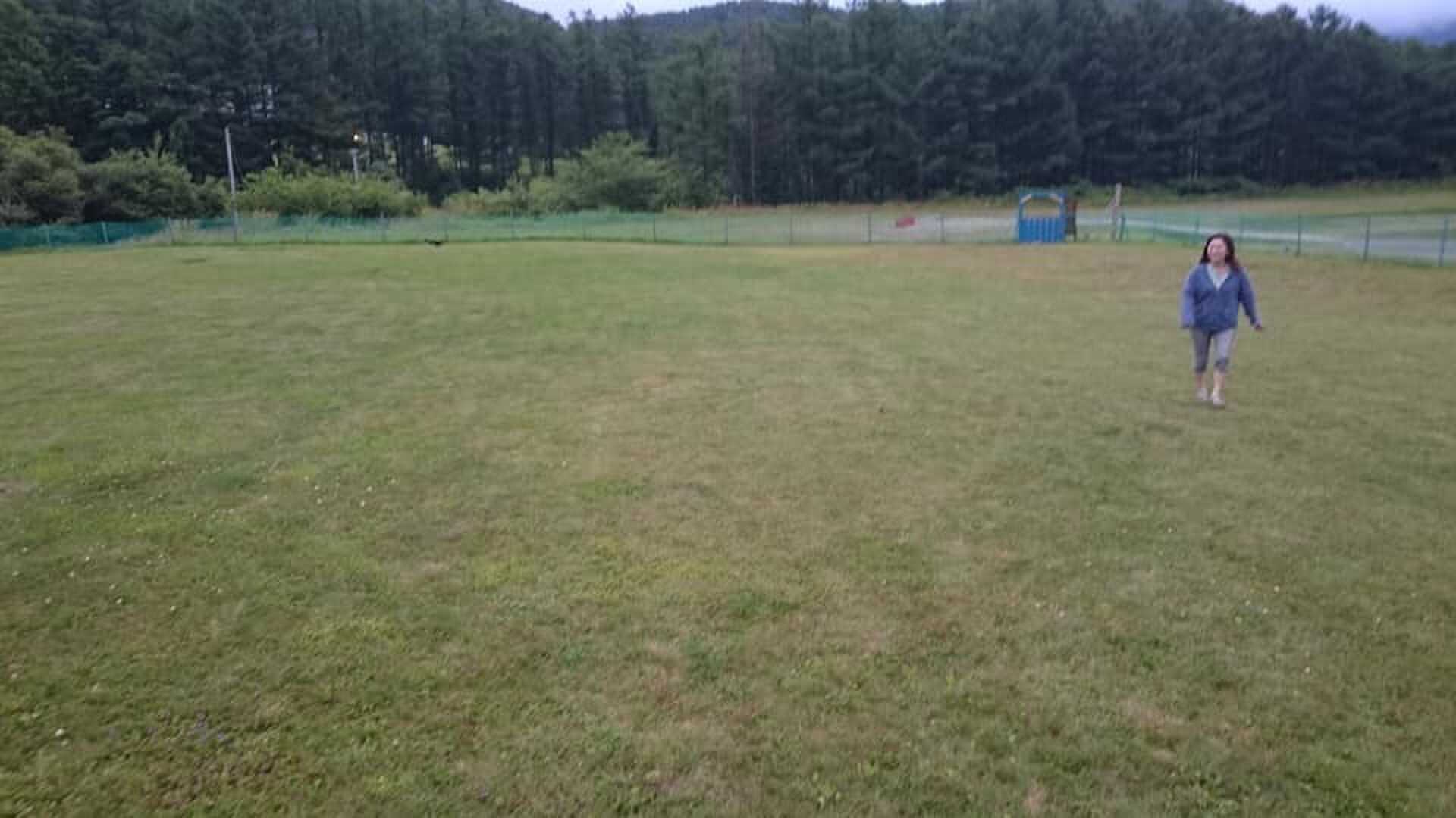 かなやま湖オートキャンプ場の写真 4枚目