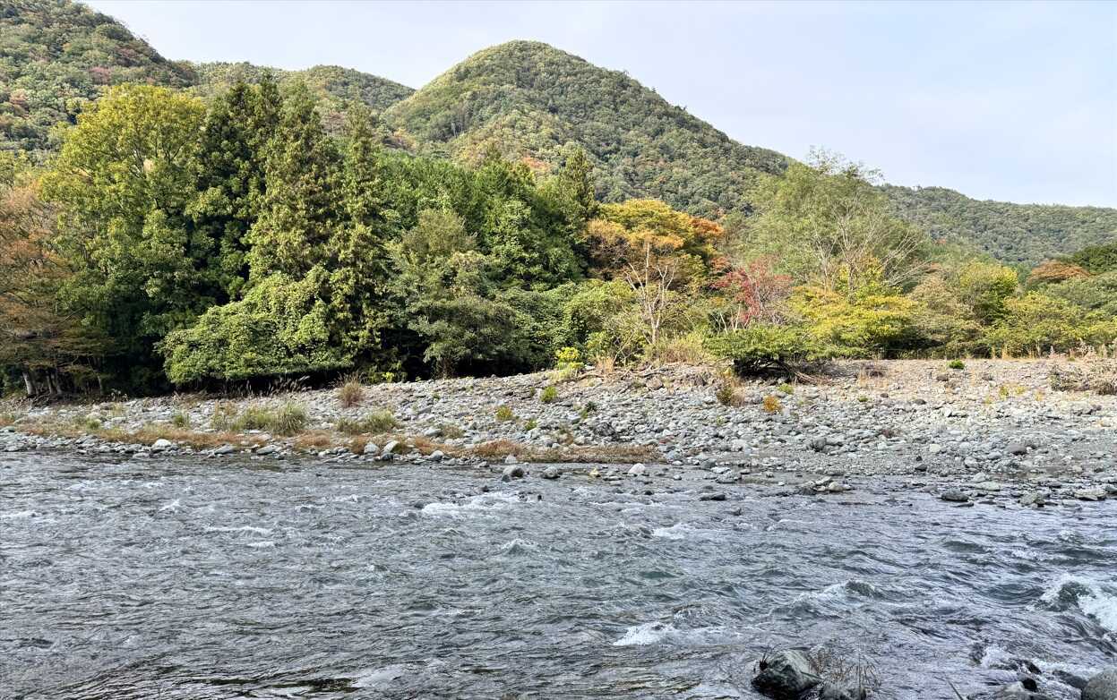 サイトから見える景色