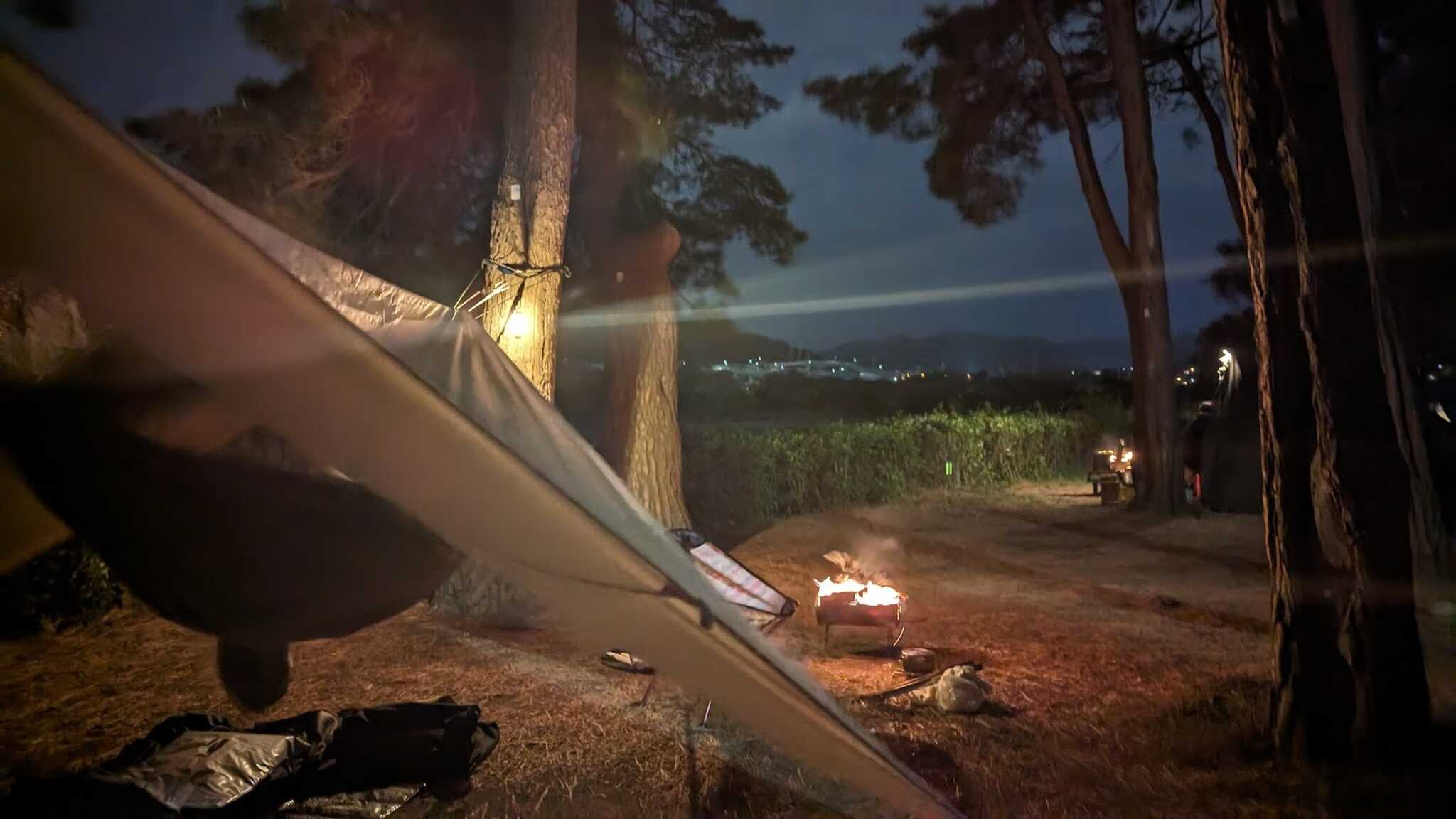 松林管理棟寄り夜