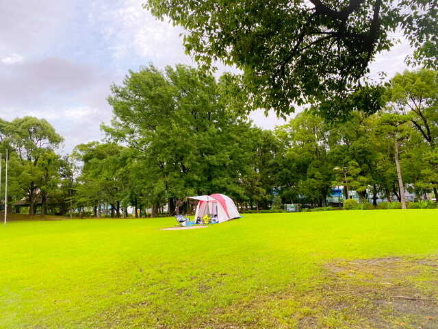 平和島公園キャンプ場の写真 3枚目