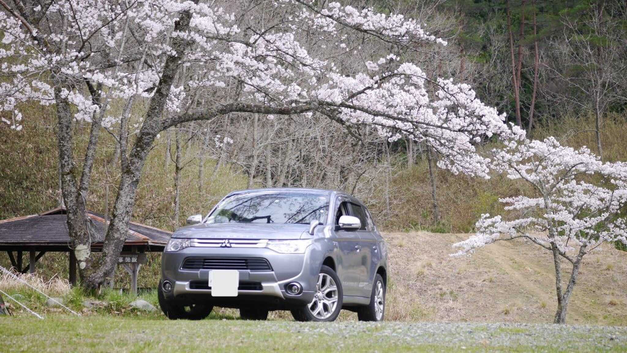 馬場山キャンプ場の写真 5枚目