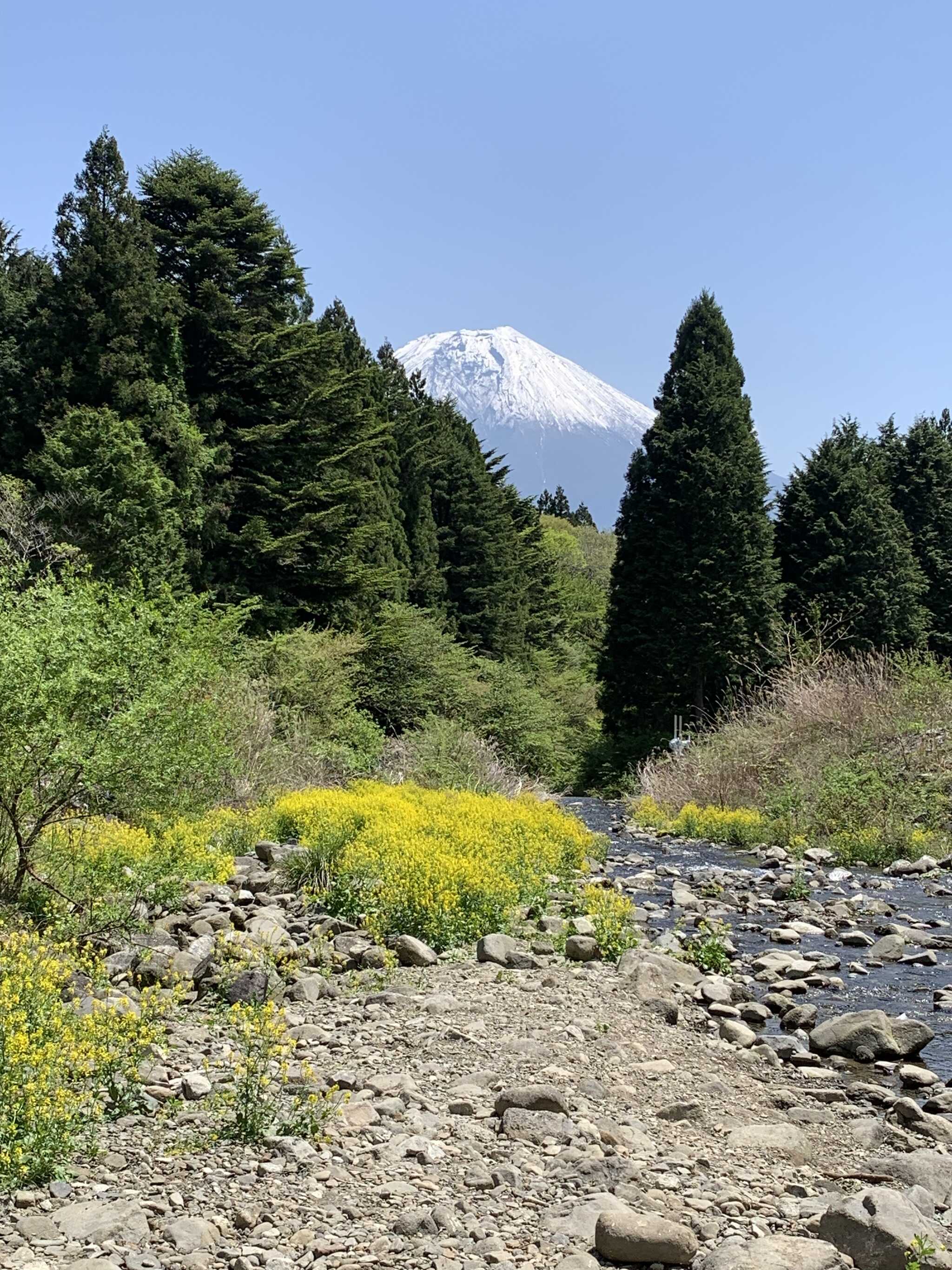 川からの富士山