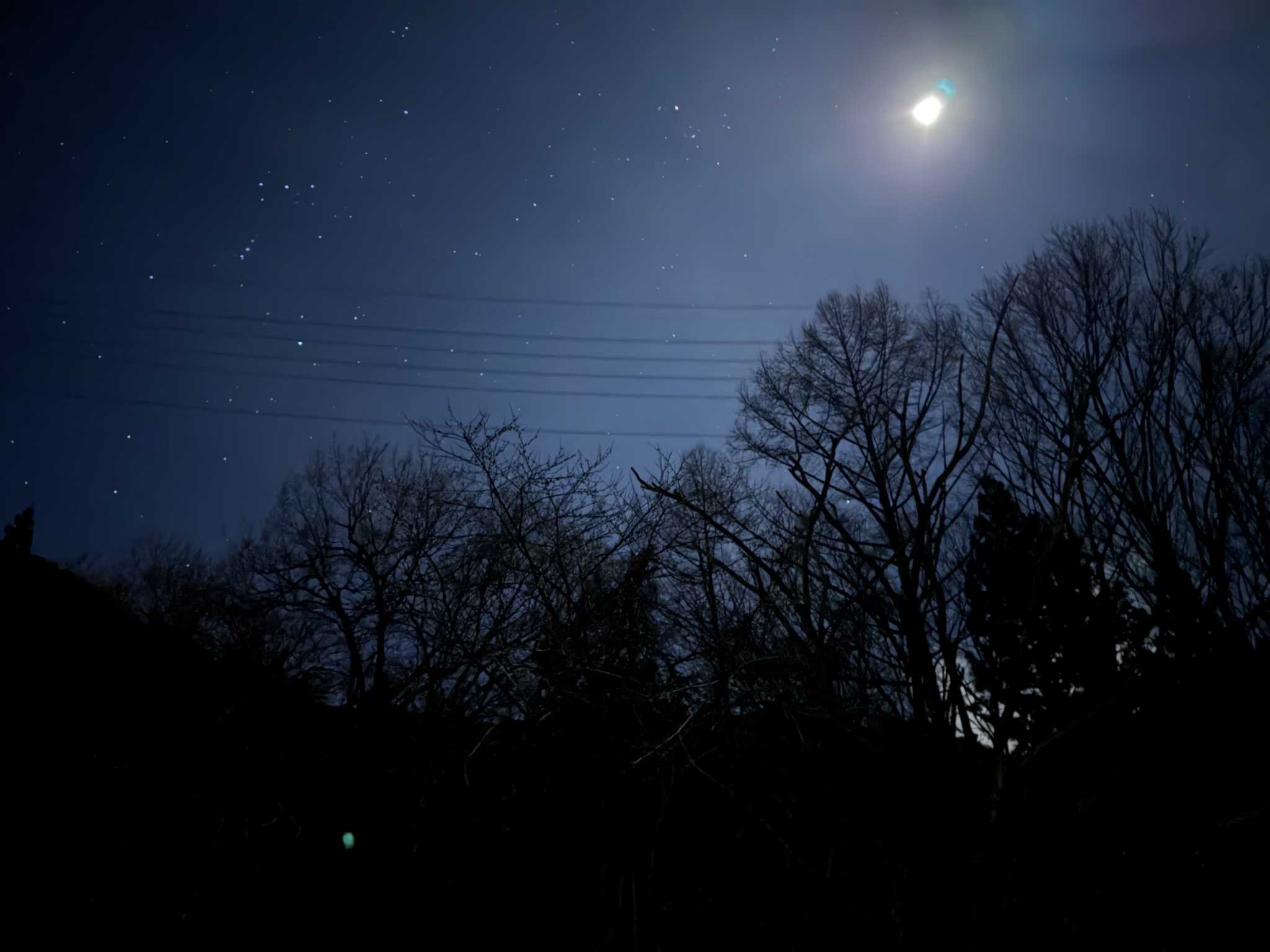夜も静か