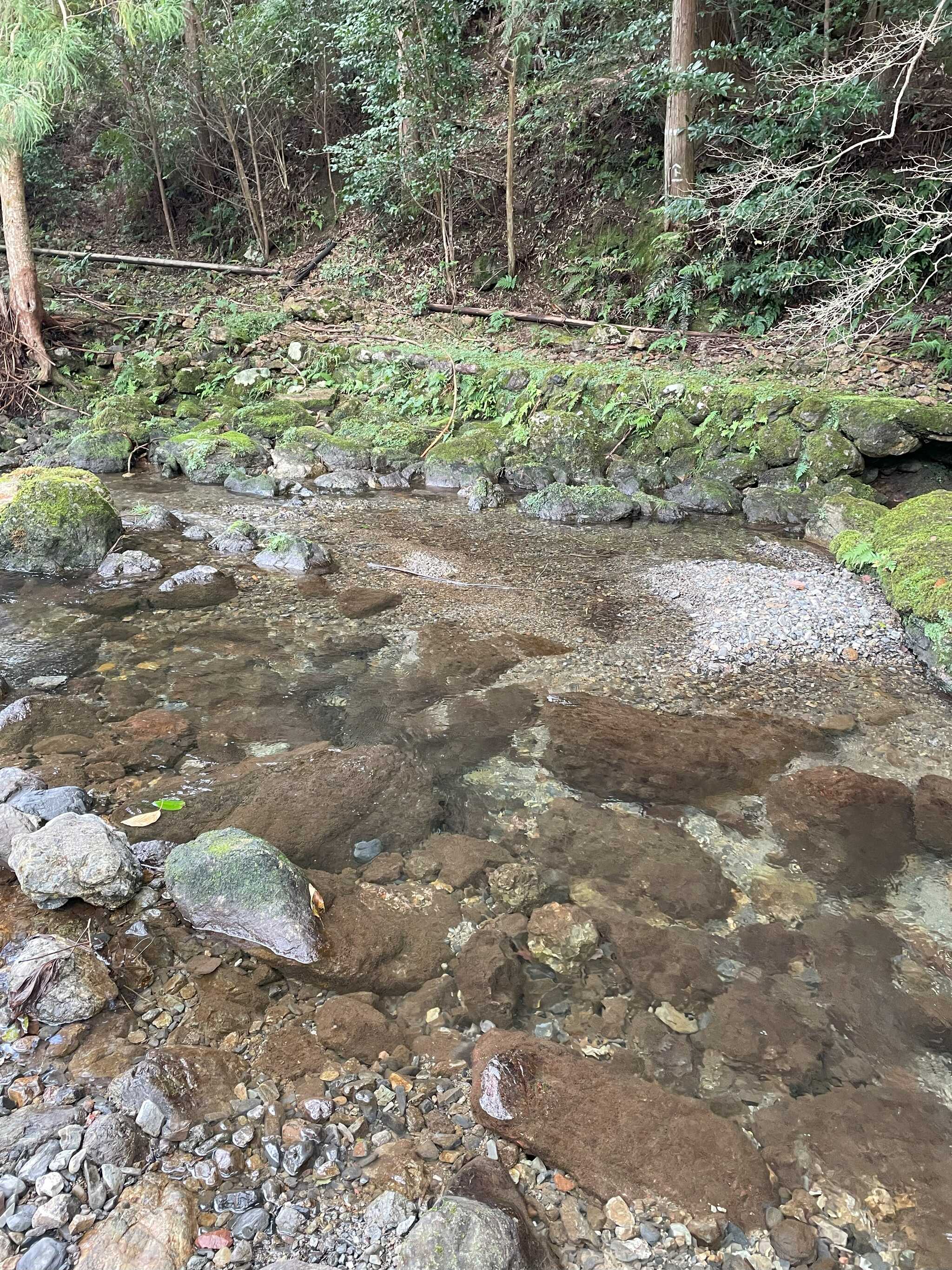 林間サイト すぐ近くの川