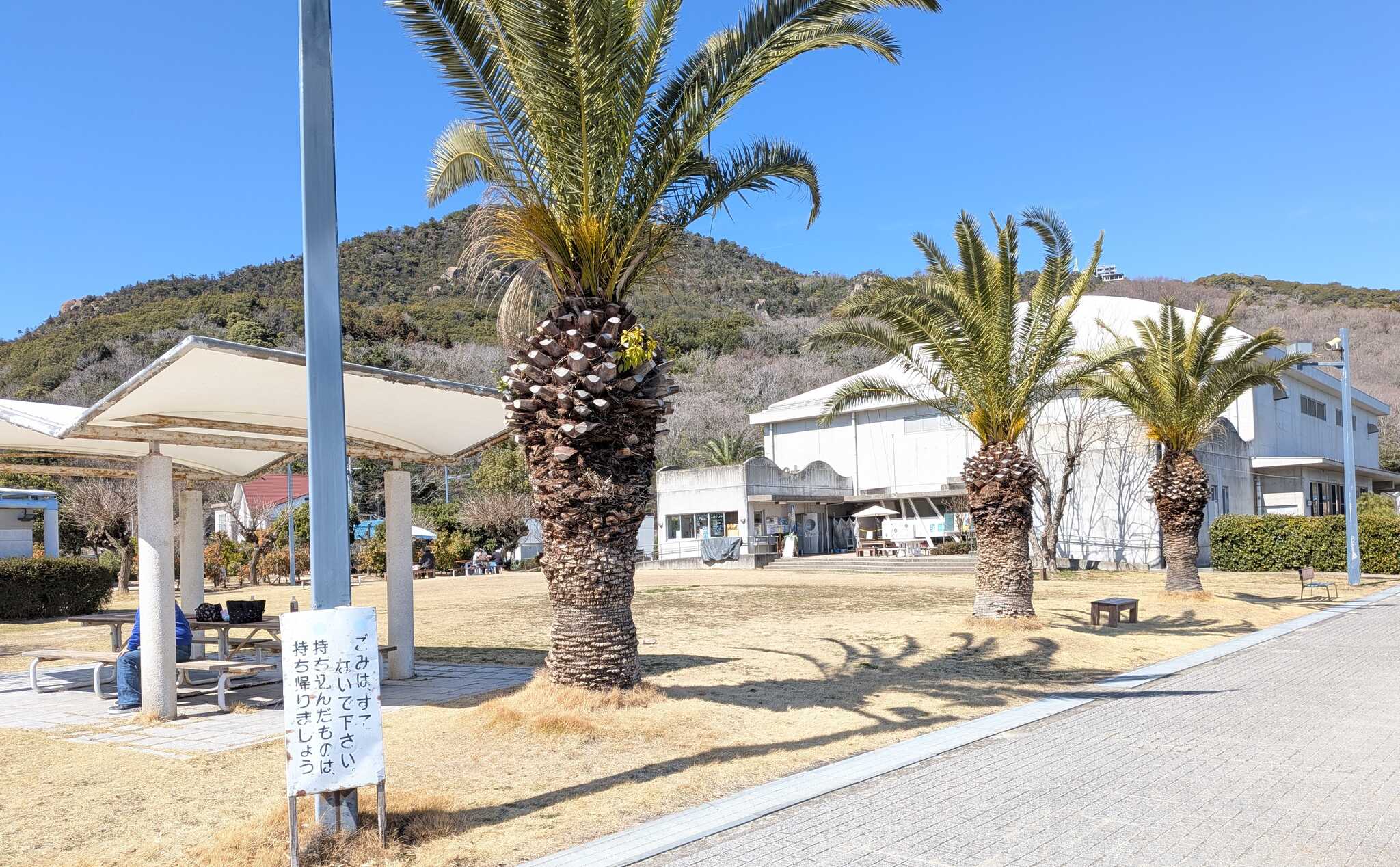 キャンプ場は左の生け垣奥