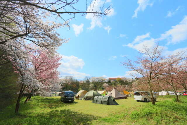 雲南市健康の森(キャンプ場)