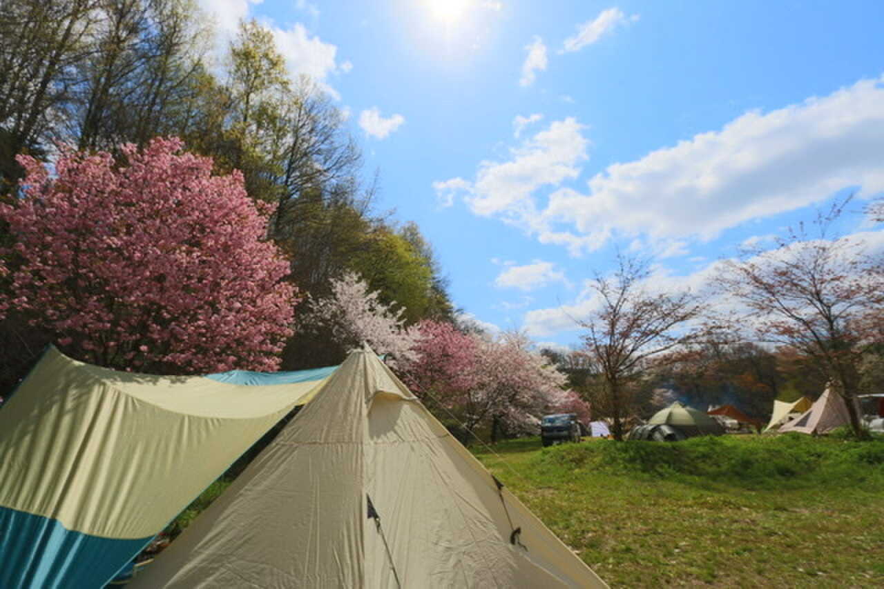 雲南市健康の森(キャンプ場)の写真 2枚目