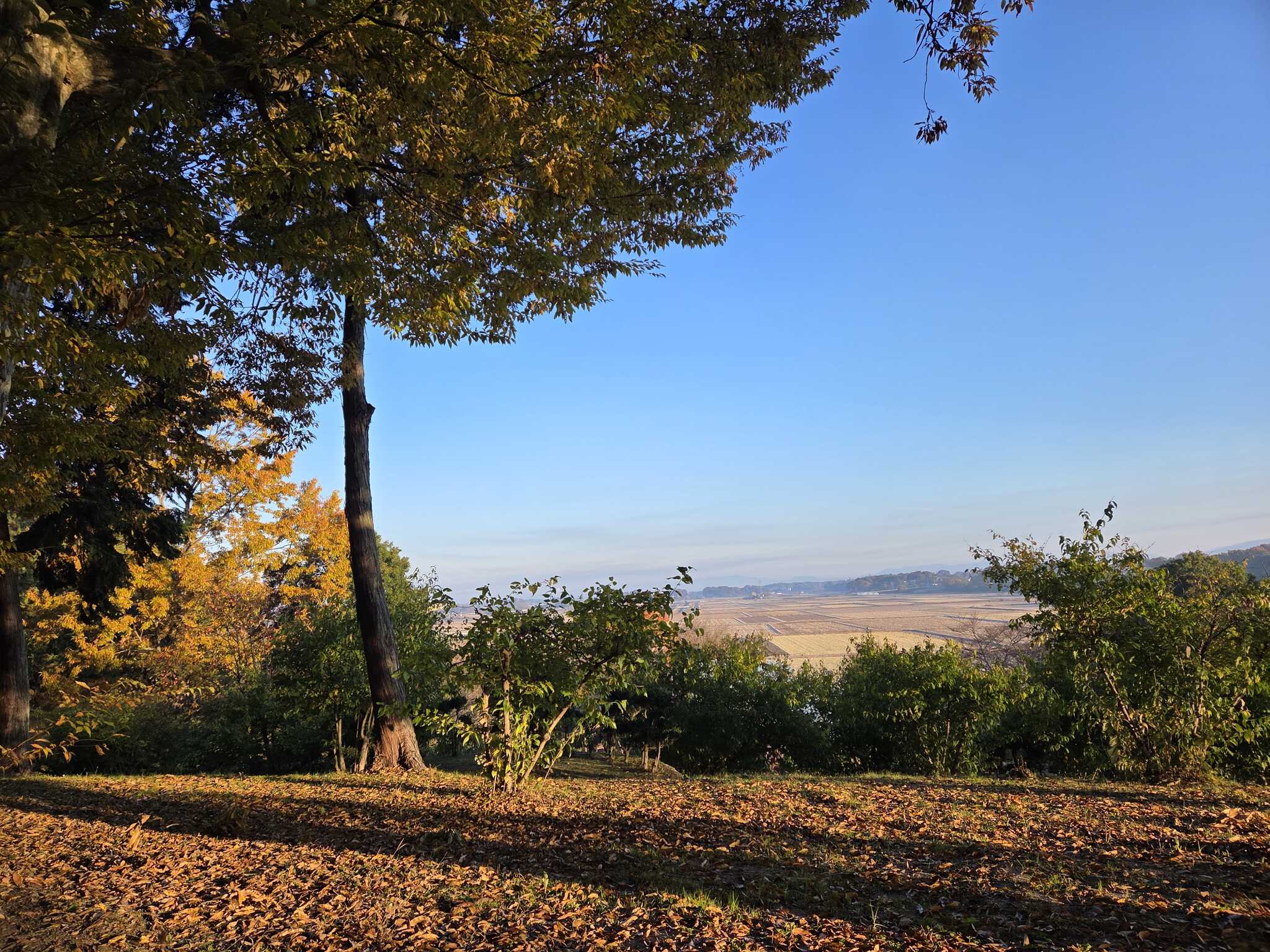 サイトからの田園風景です