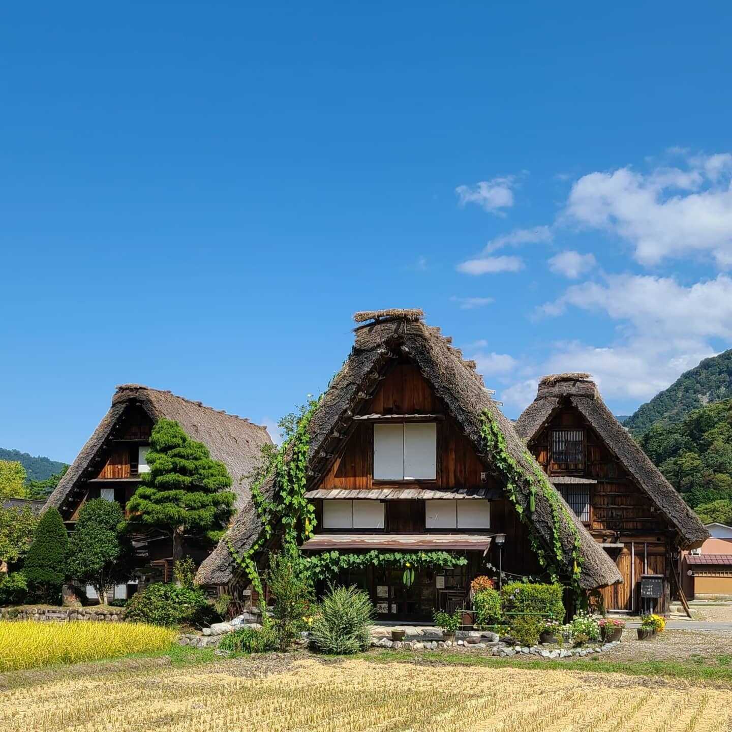 白川郷 桜街道 ひらせ温泉キャンプサイトの写真 3枚目