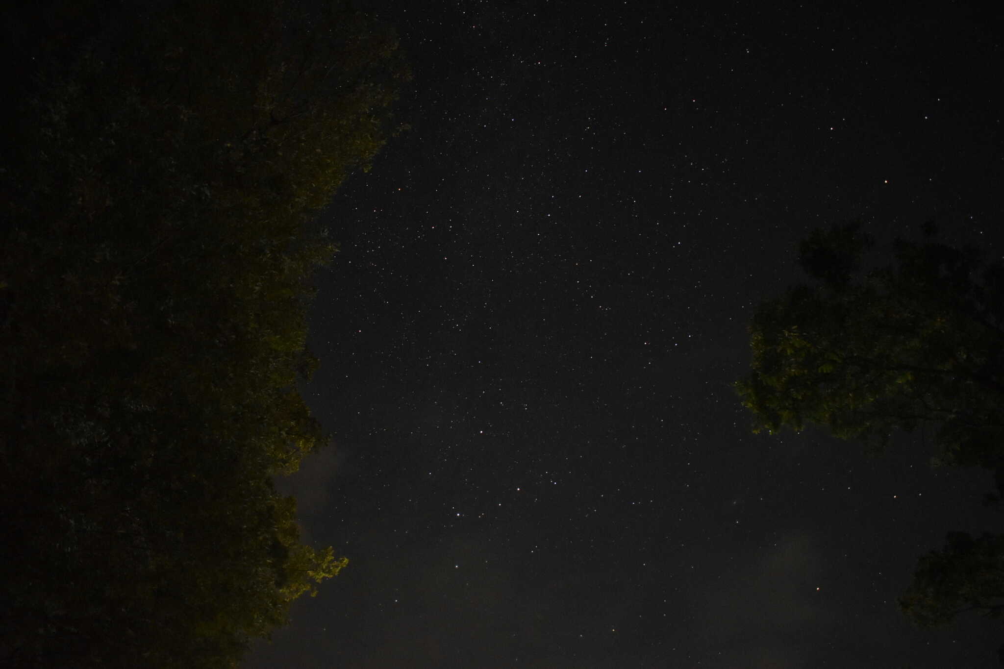 夏の夜空