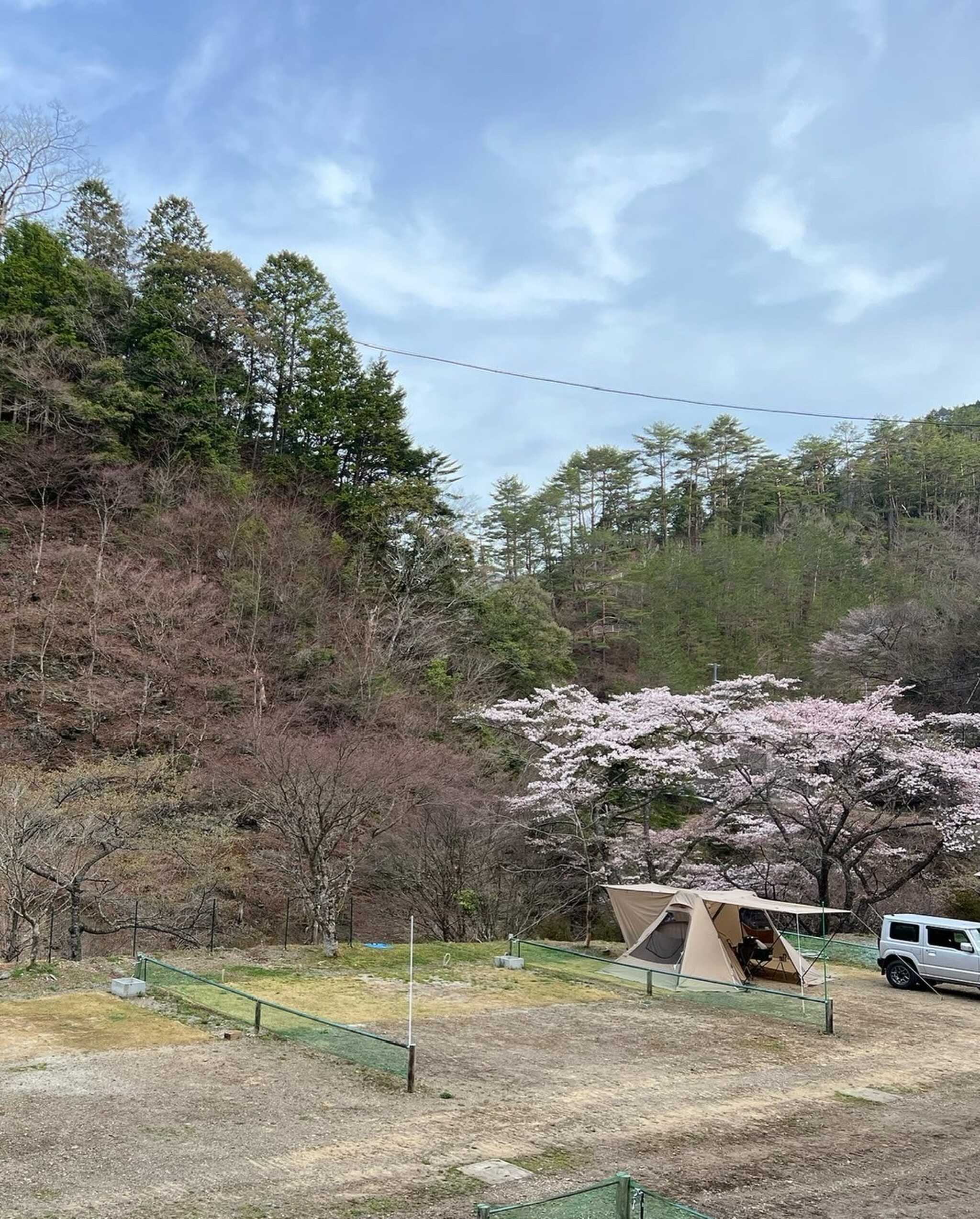 全景