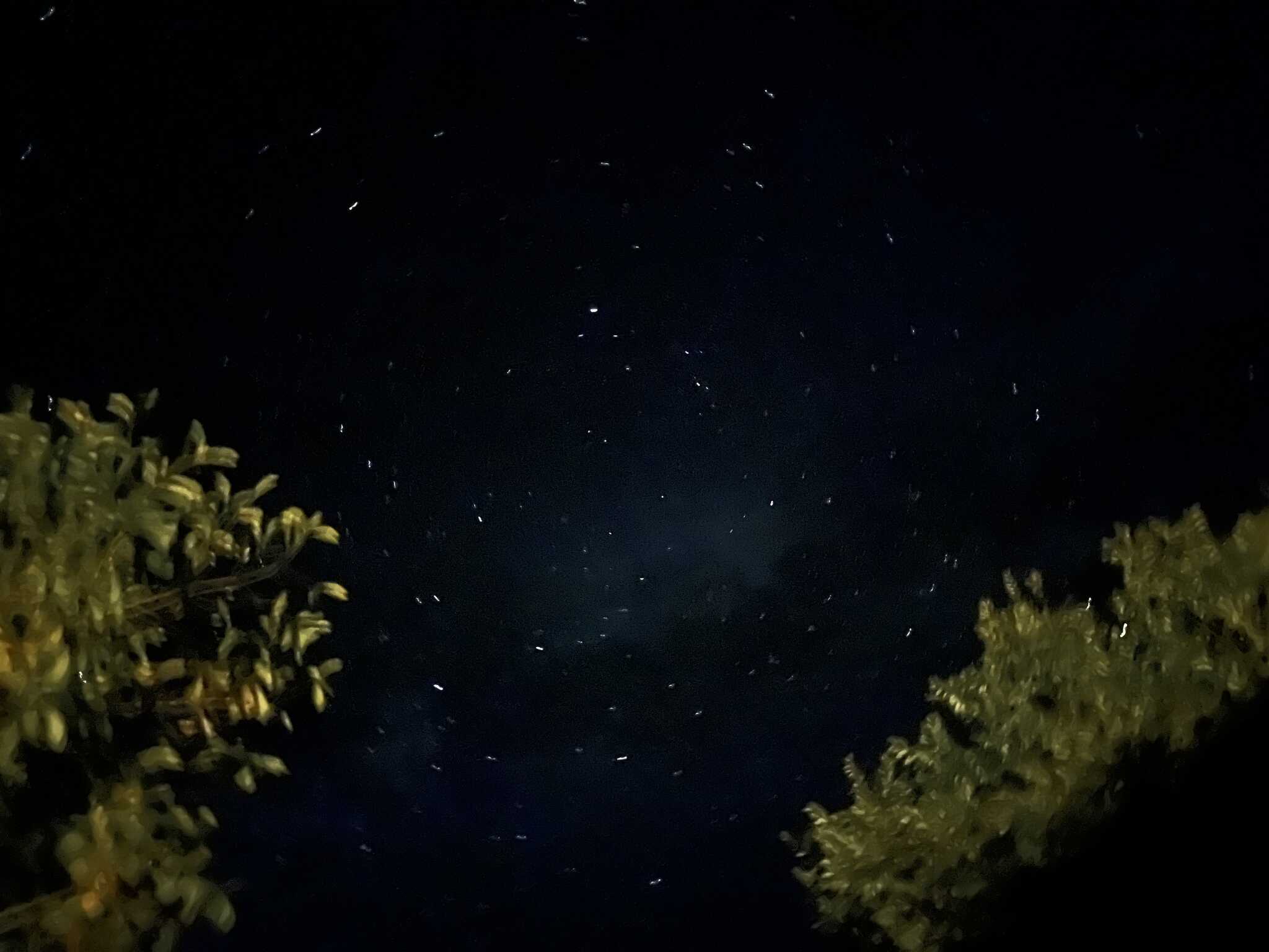星空