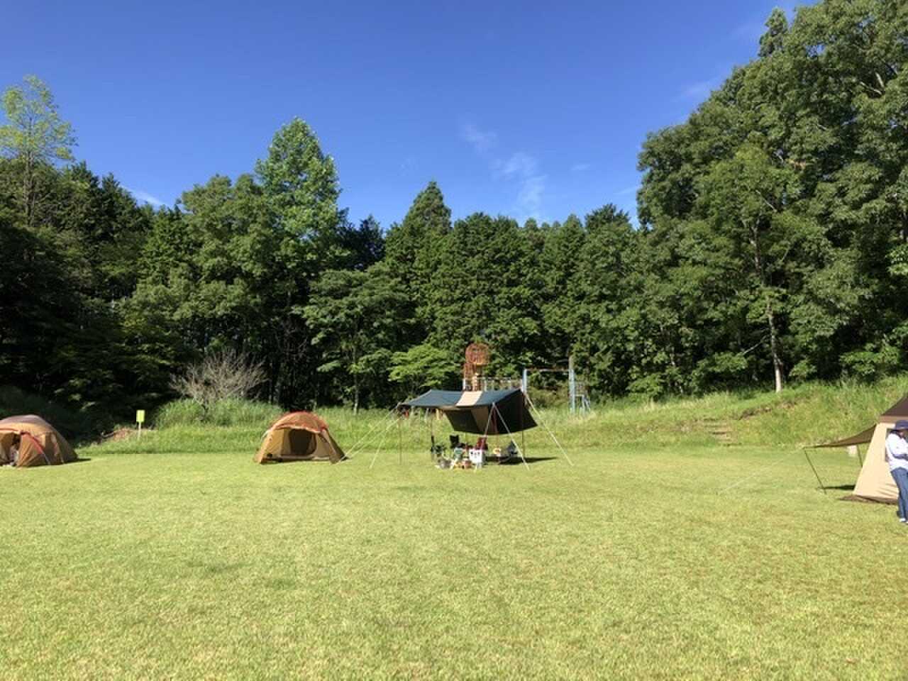 フリーサイト