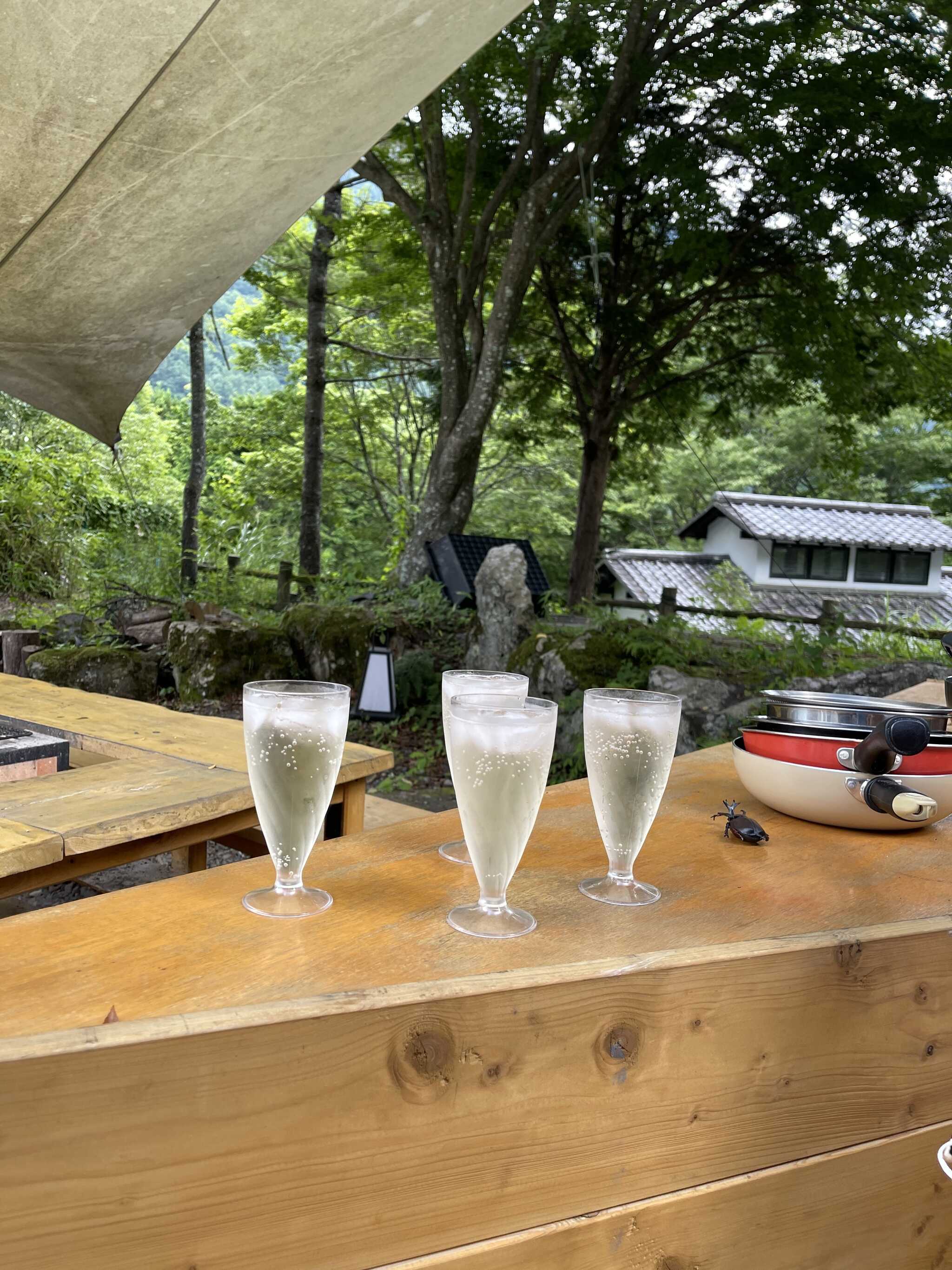 オーダーした果実酒