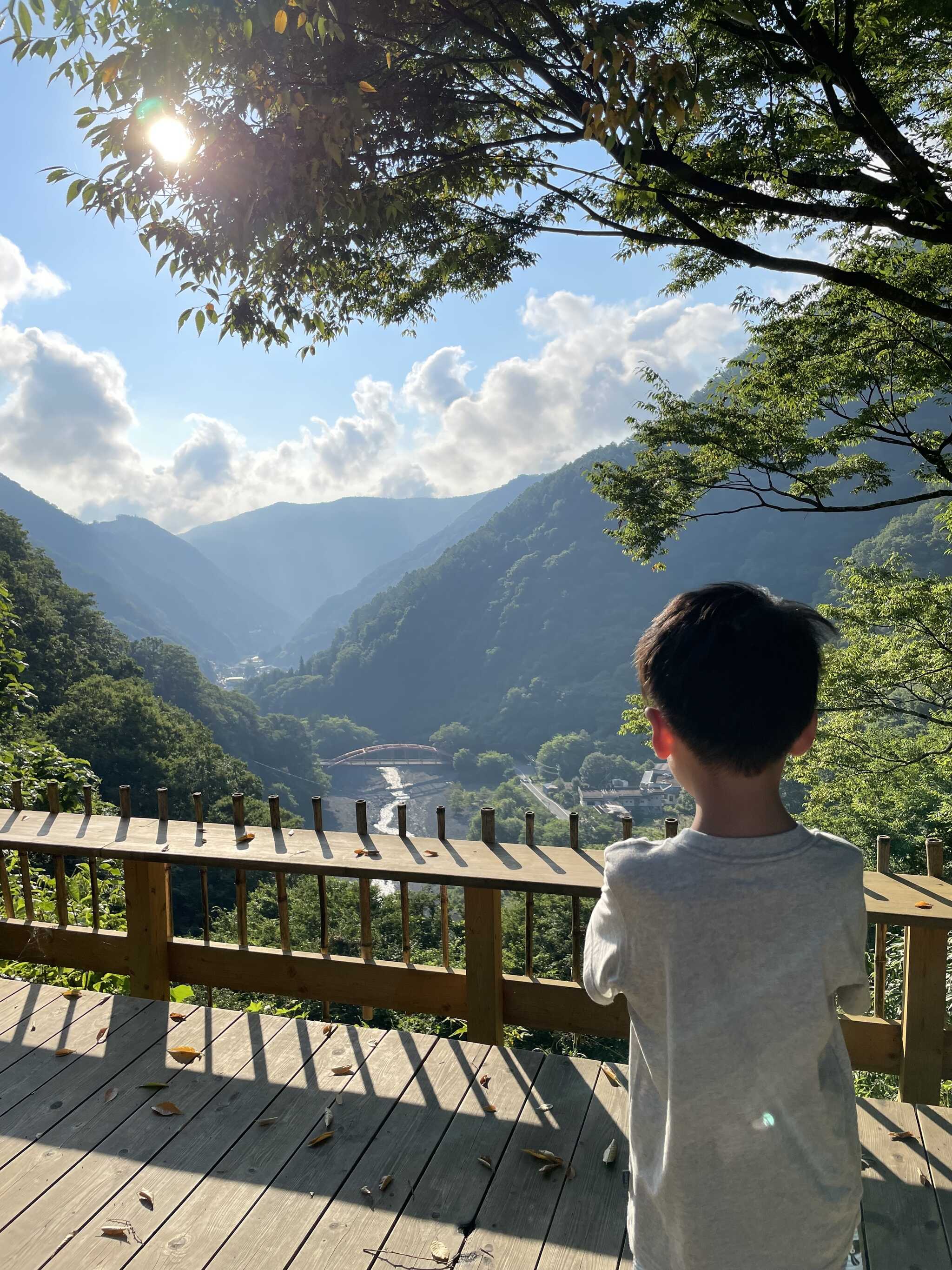 庭