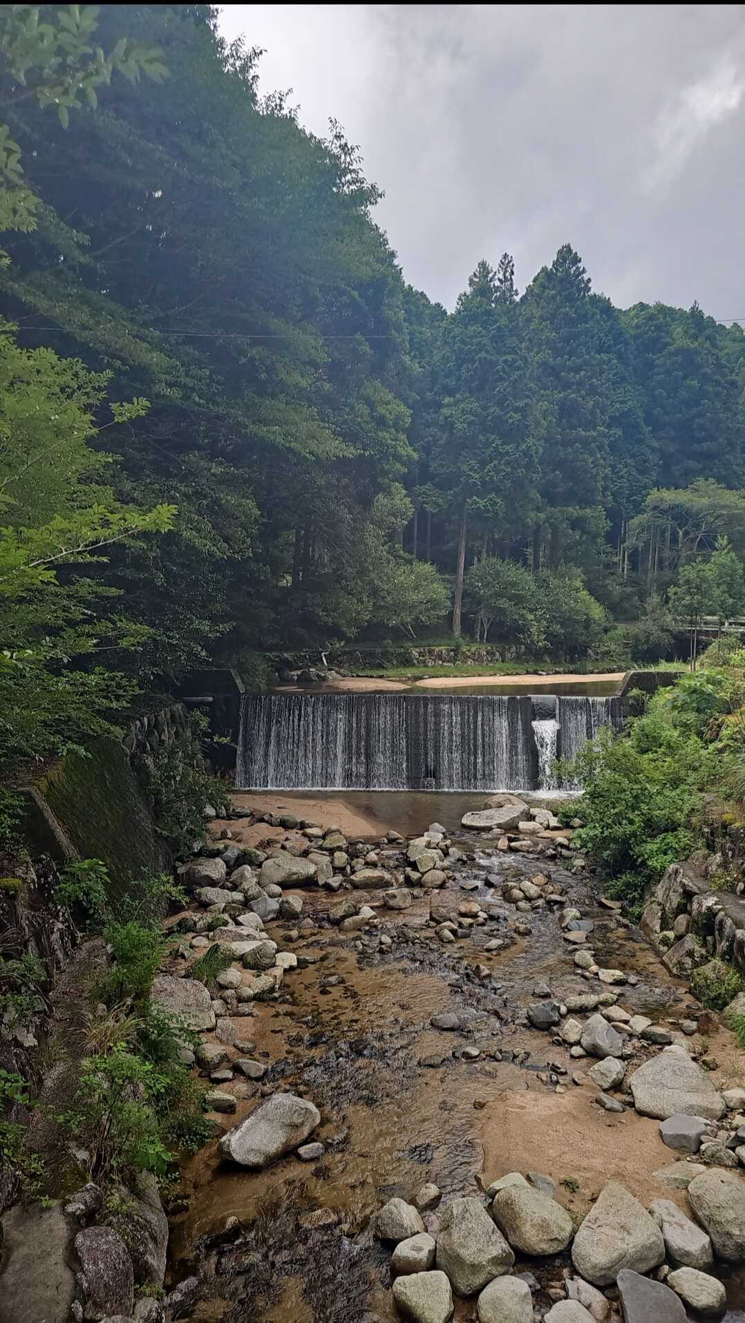 場内に川があり、お子さん達が遊べる場があります。