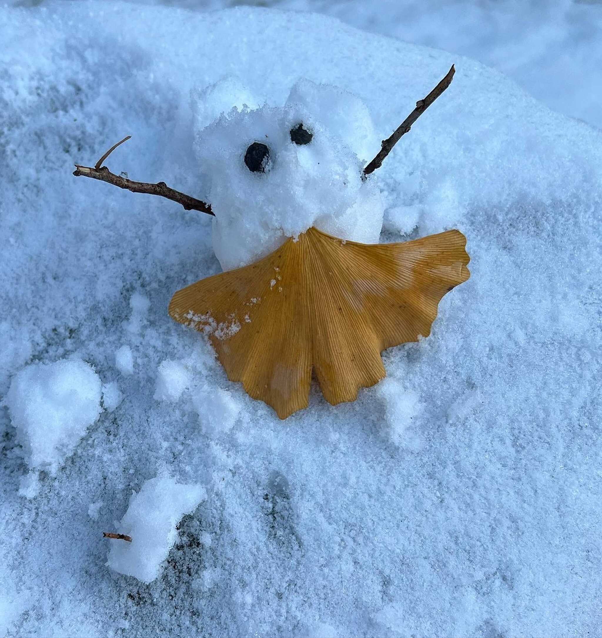雪小僧