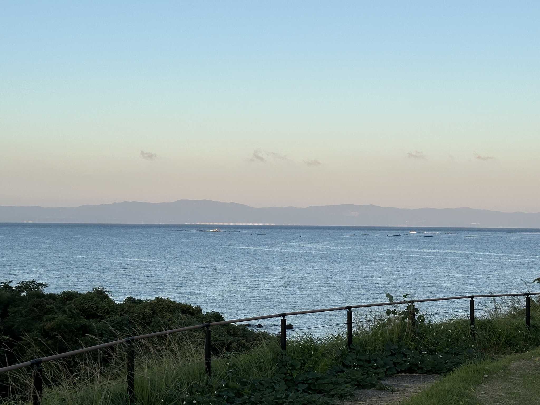 錦江湾の眺望