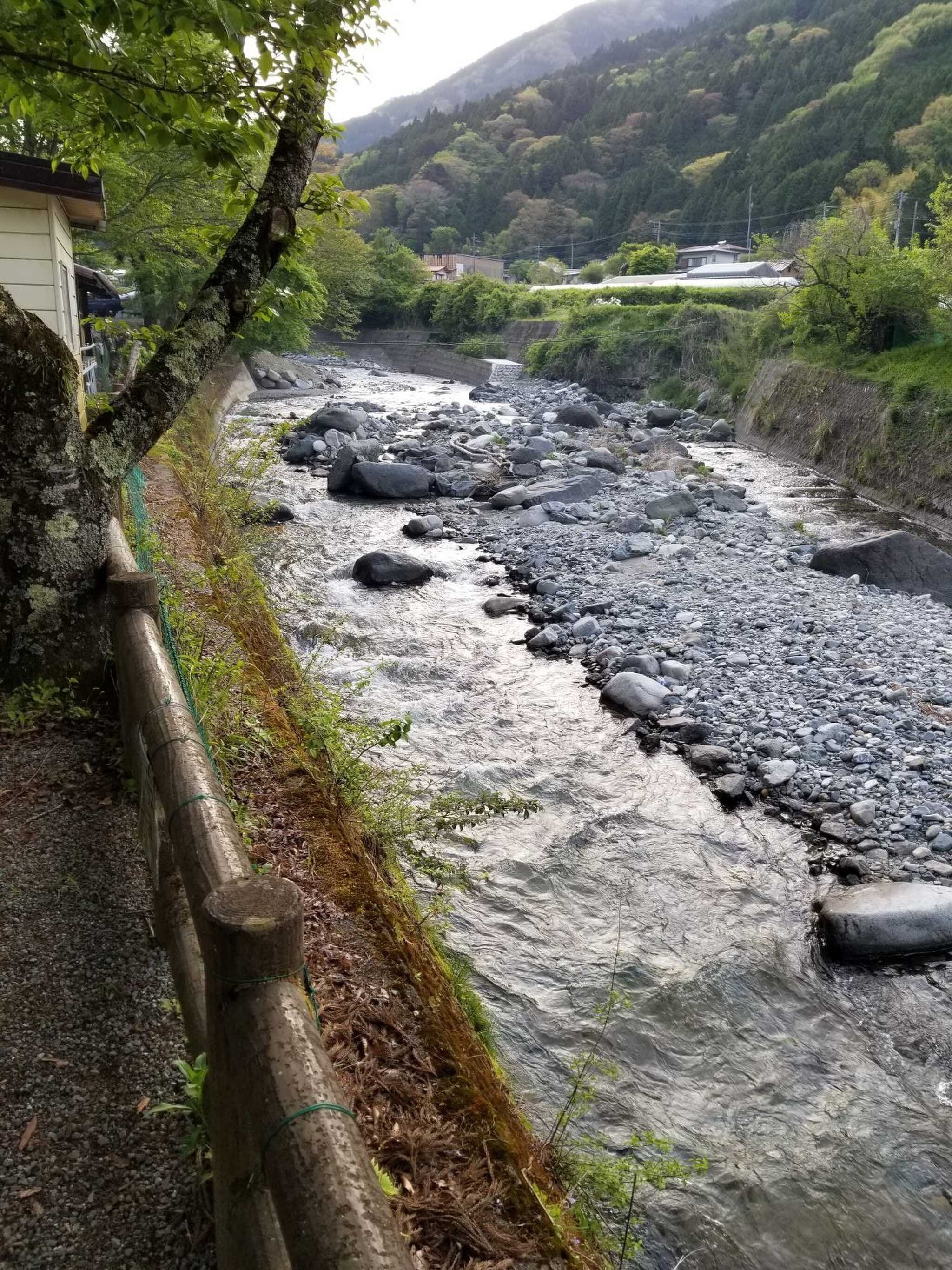 道志川