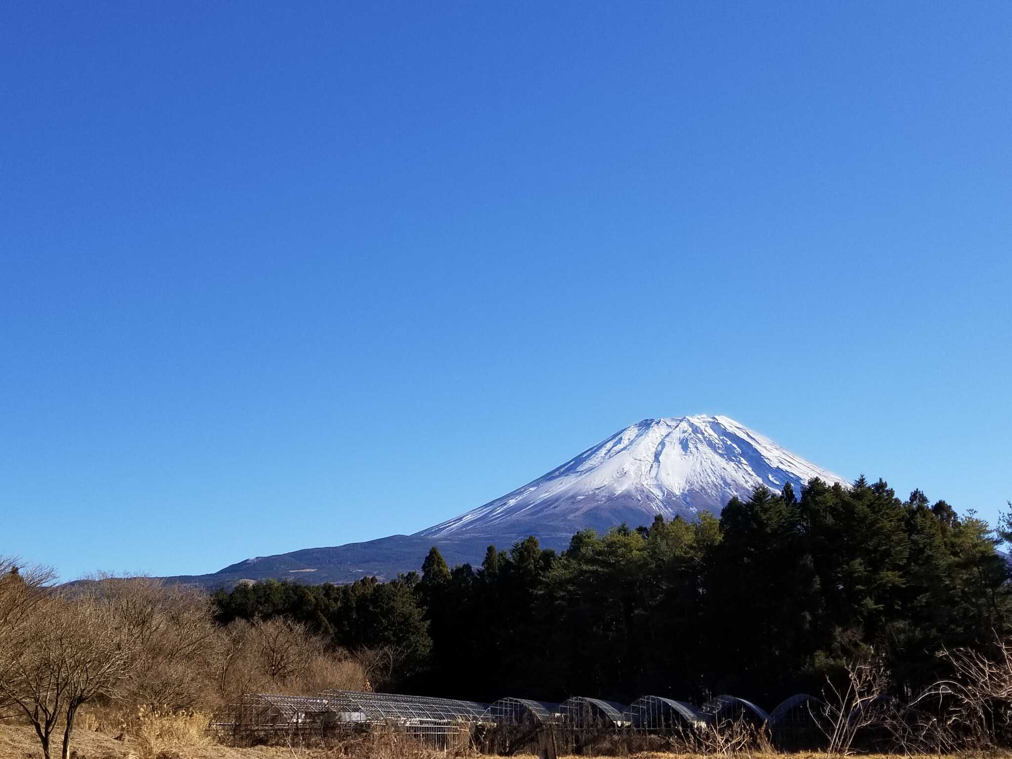 テント前からの富士山