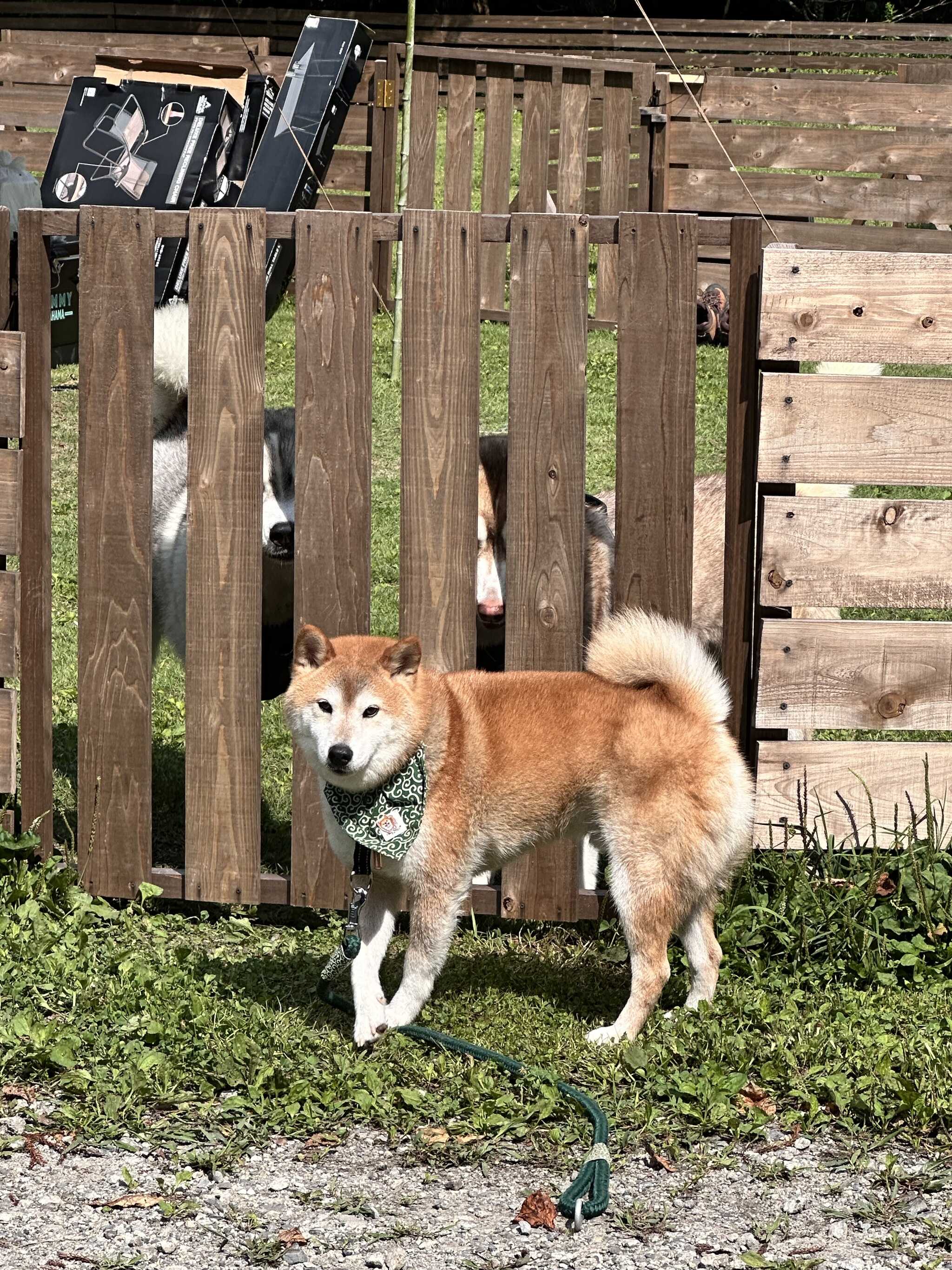 フェンスサイト