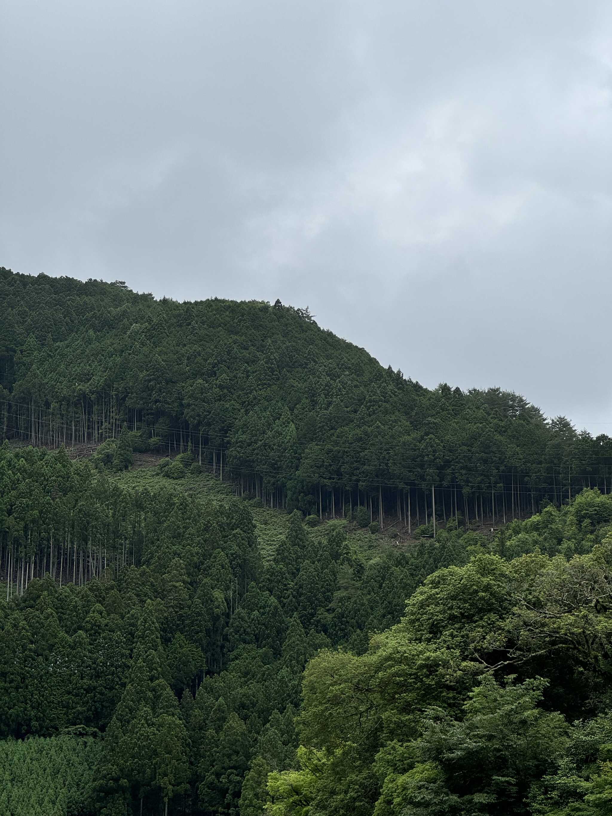 キャンプ場から見える景色上