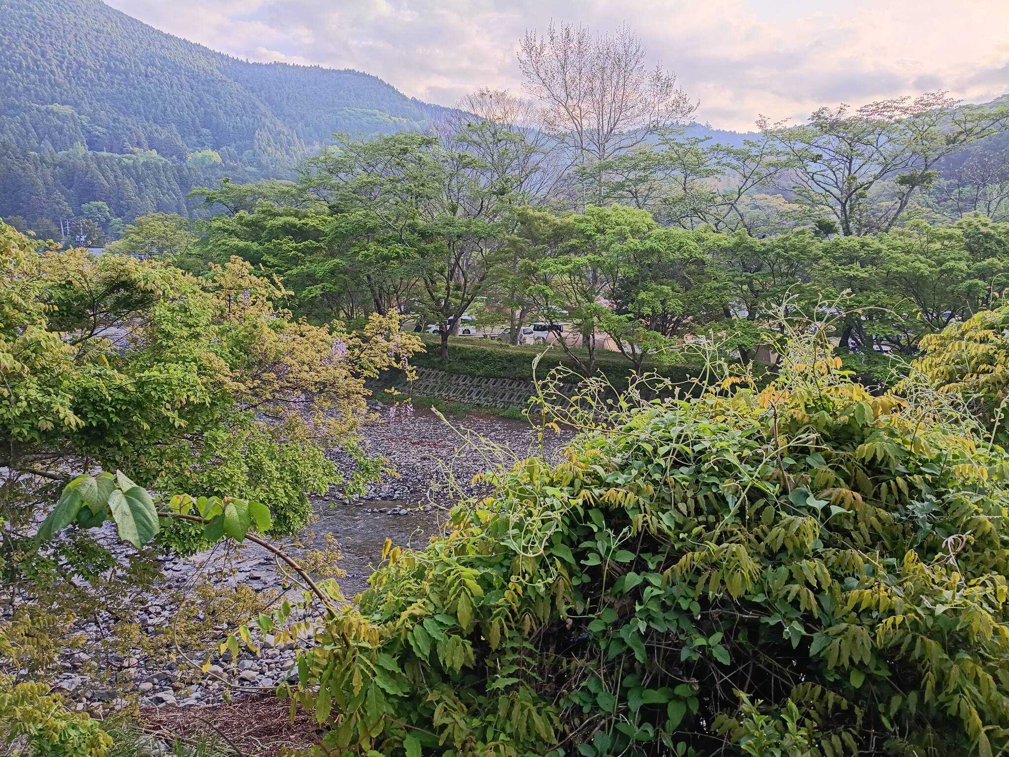 キャンプ場