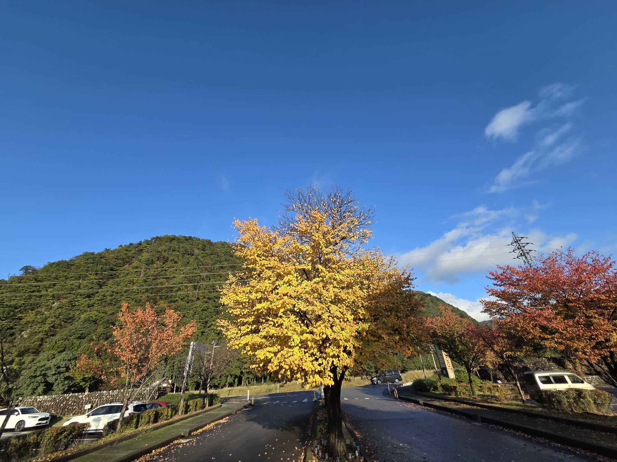 キャンプ場