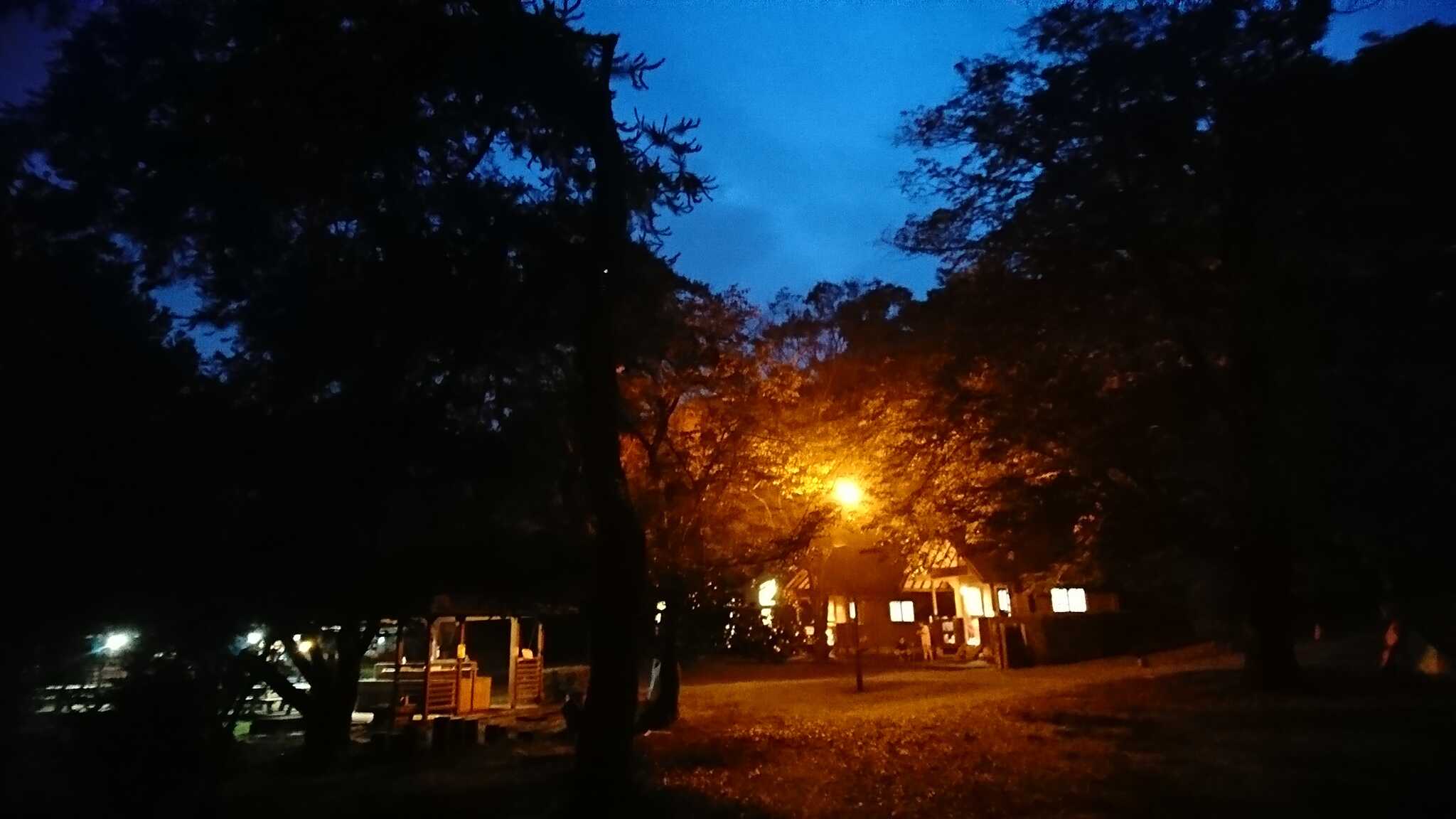 智光山公園野外活動広場(キャンプ場)の写真 2枚目