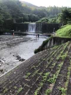 愛郷の森