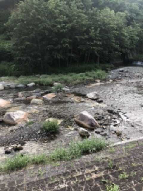 愛郷の森の写真 4枚目