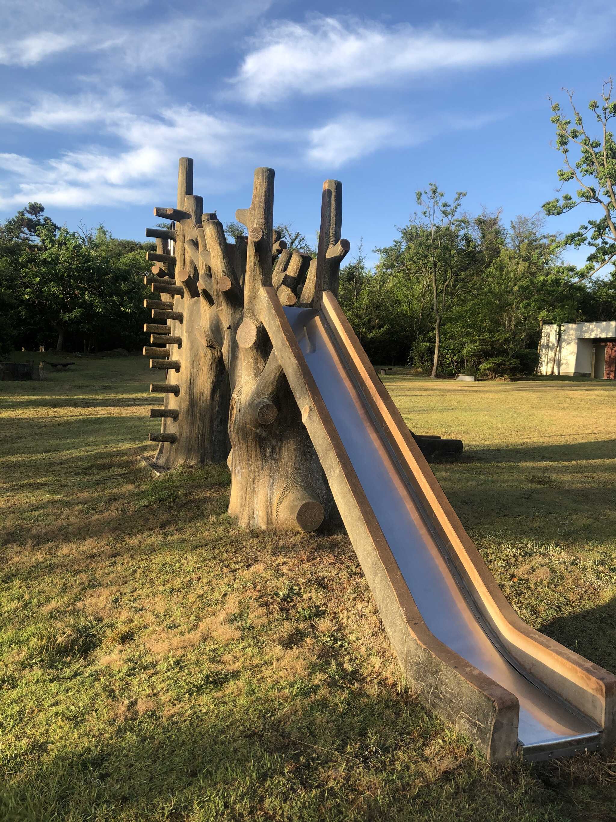 近くの公園