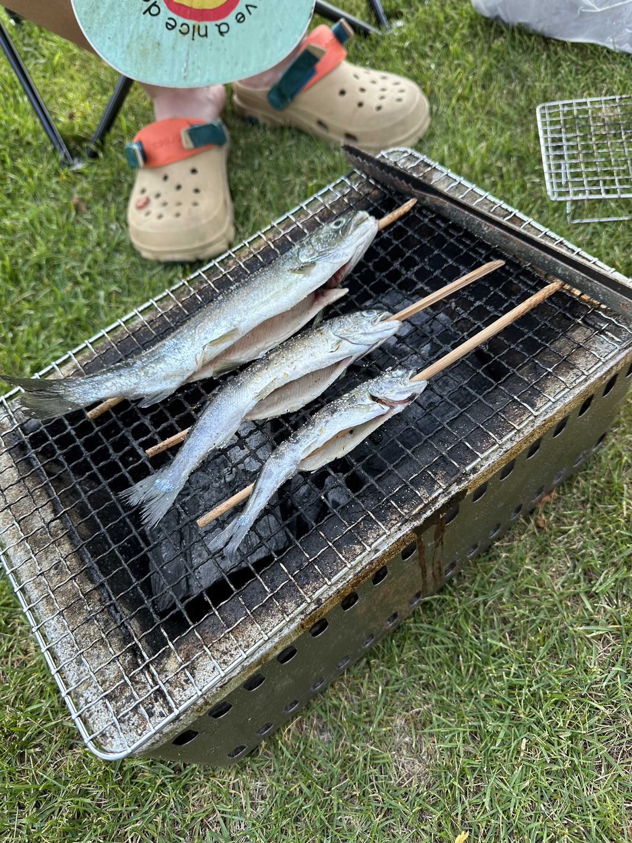 鯉のぼり?笑