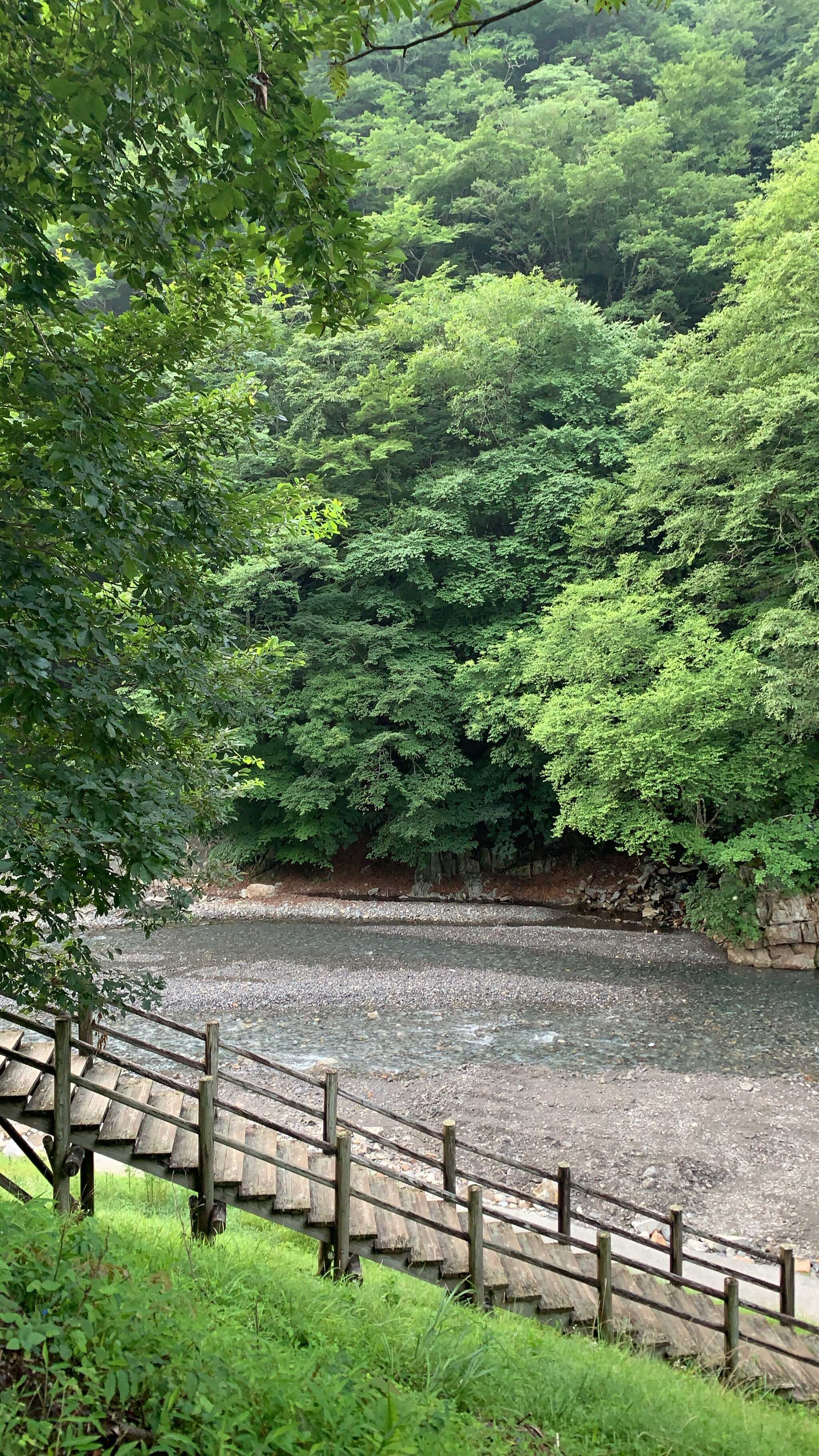 近くの川
