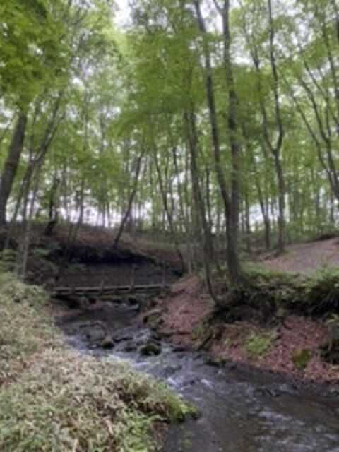 川