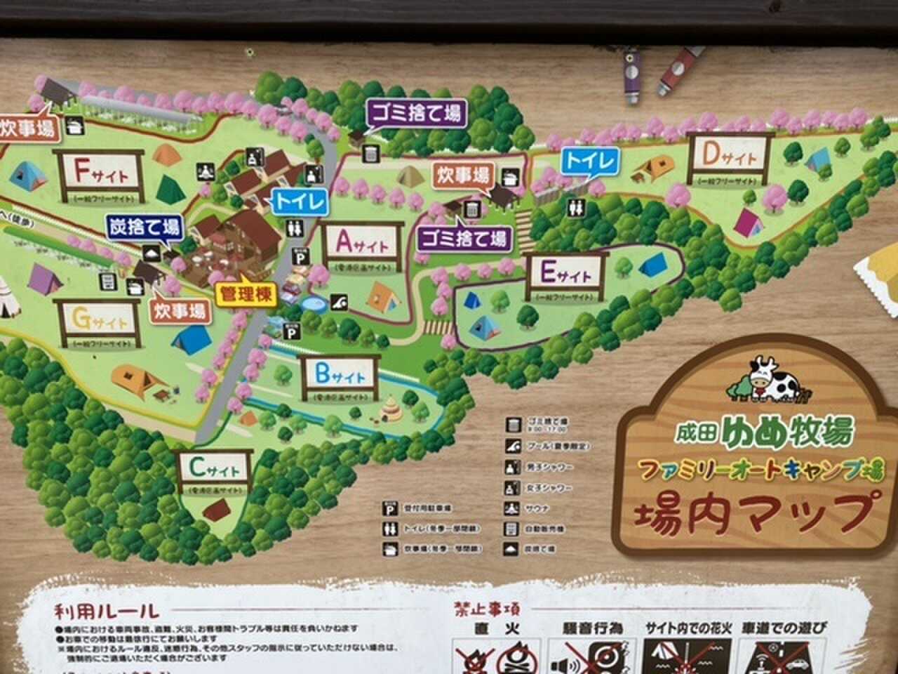マップ
