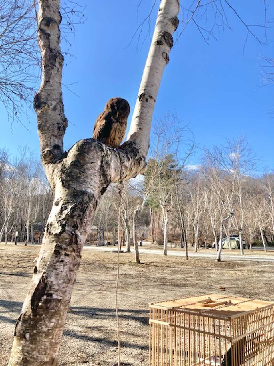 ペットと共に
