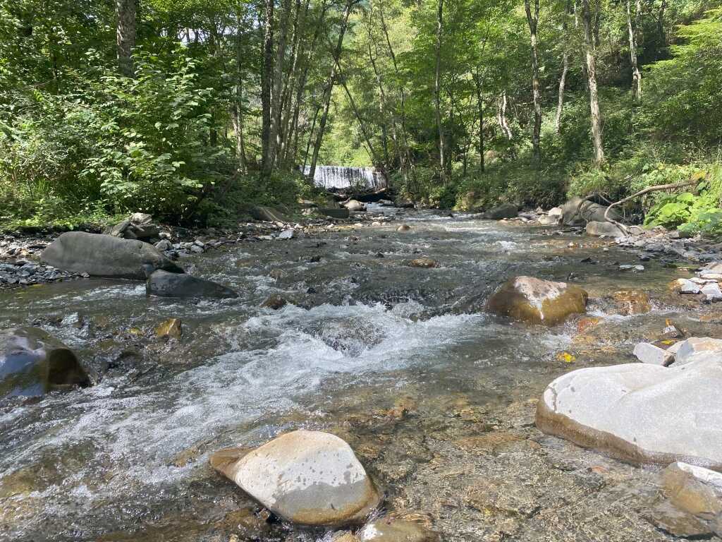 近くの沢2