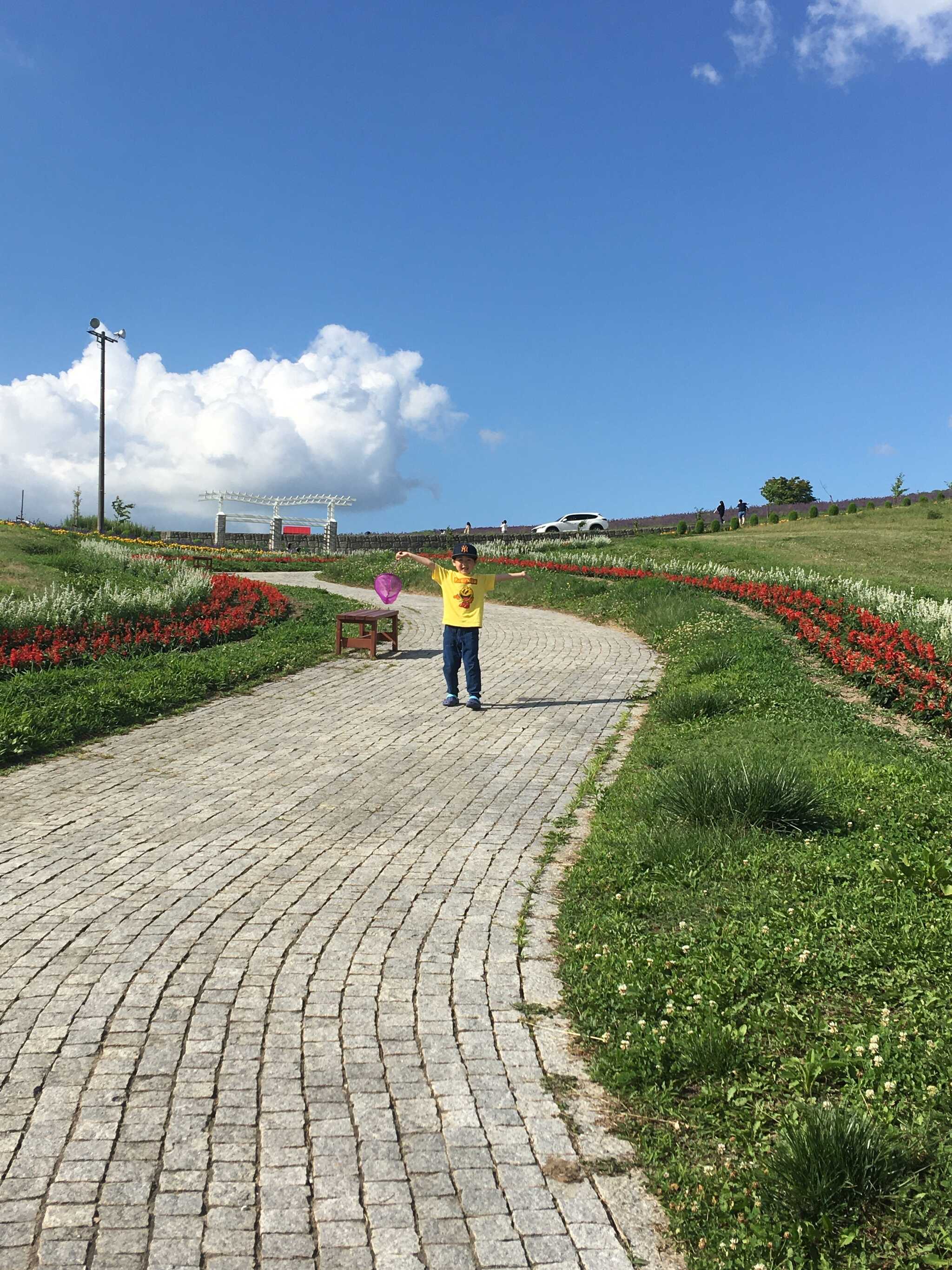 キャンプ場隣の花畑