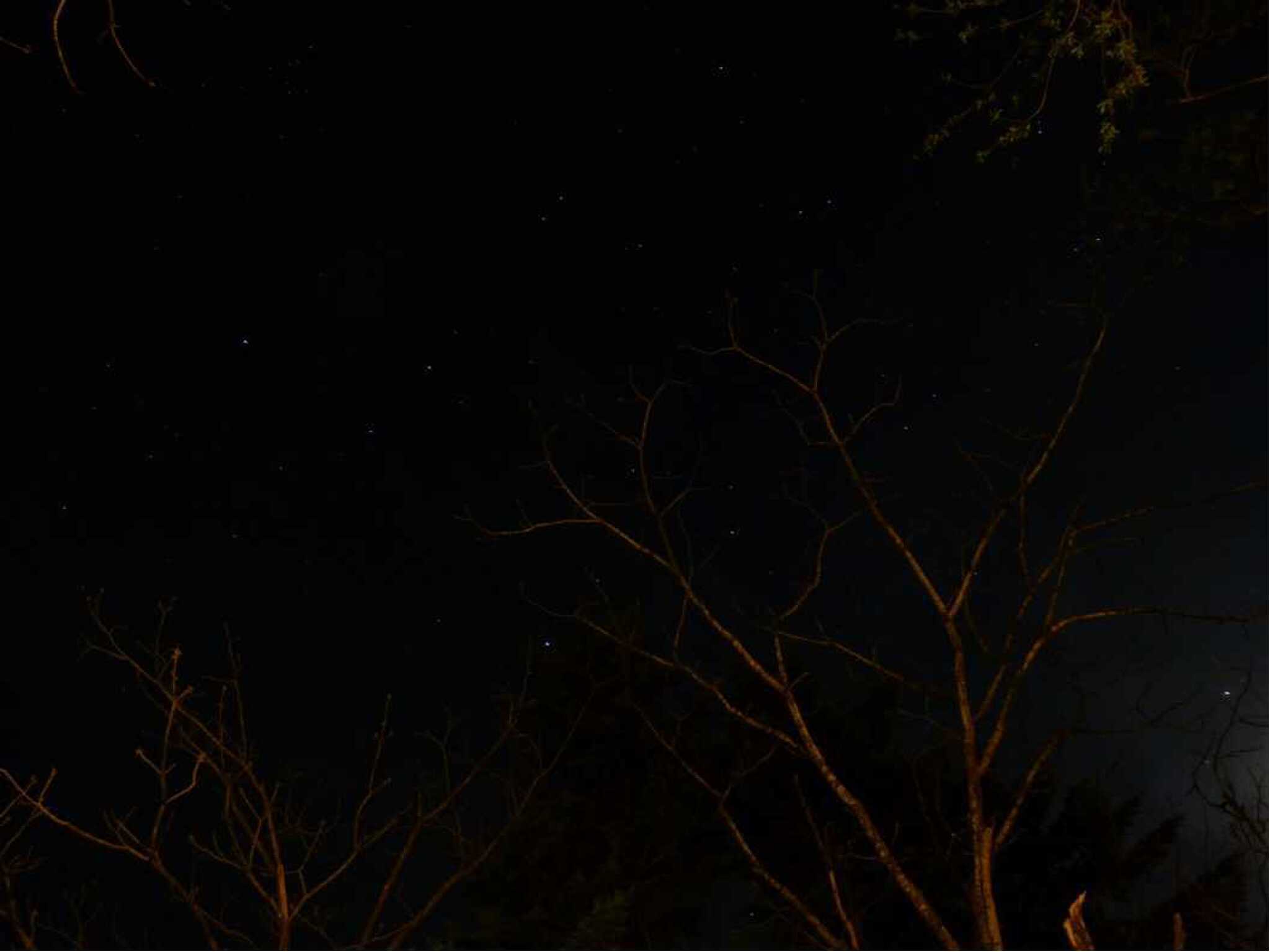フリーサイトから見た星空