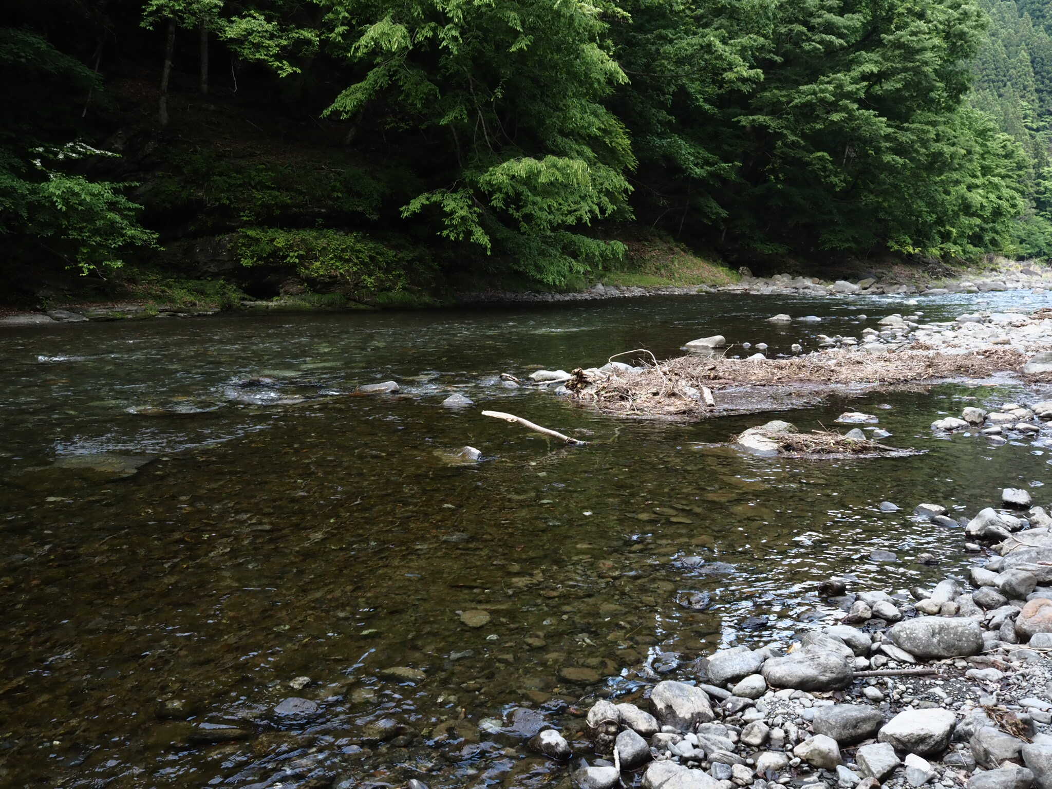 夏場は川遊びができそう