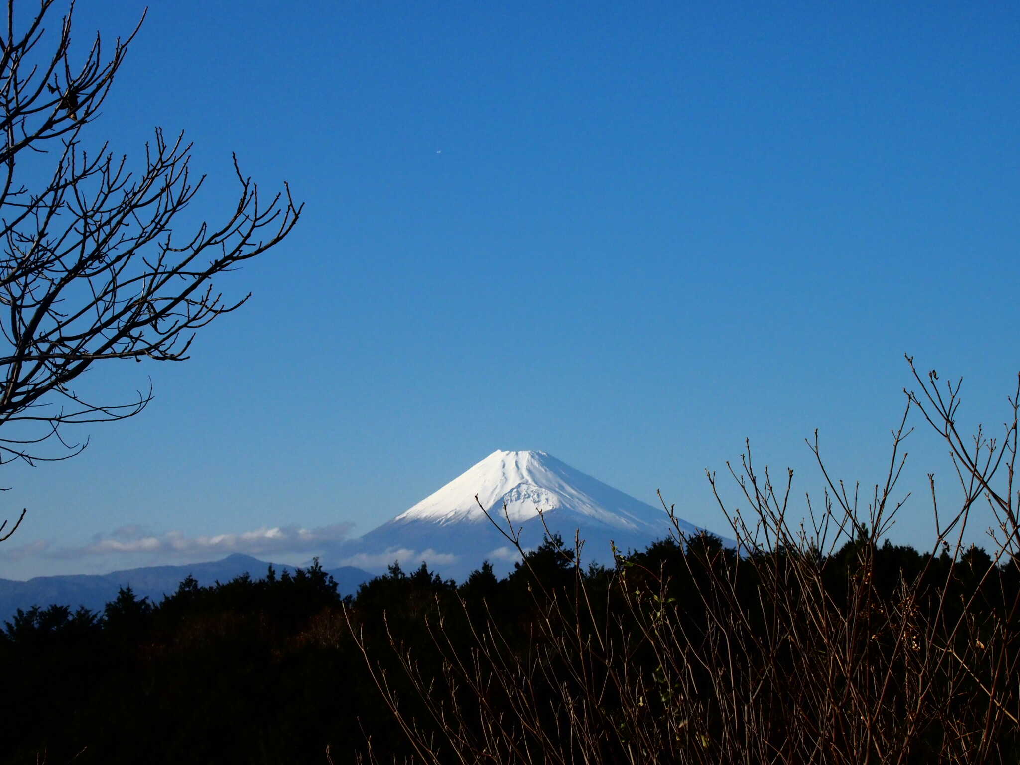 フリーサイト側から望める富士山