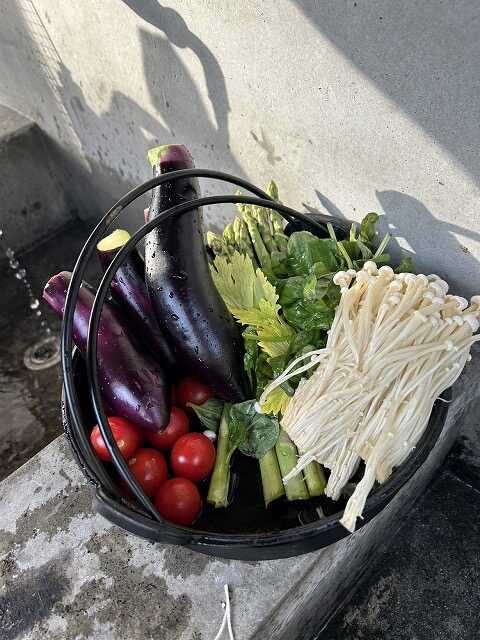 食材