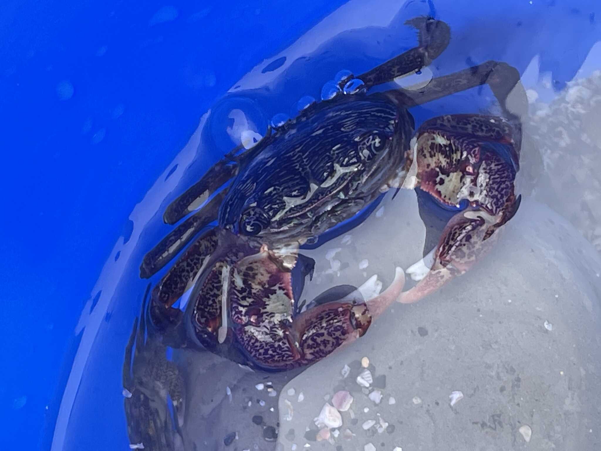 浜で。