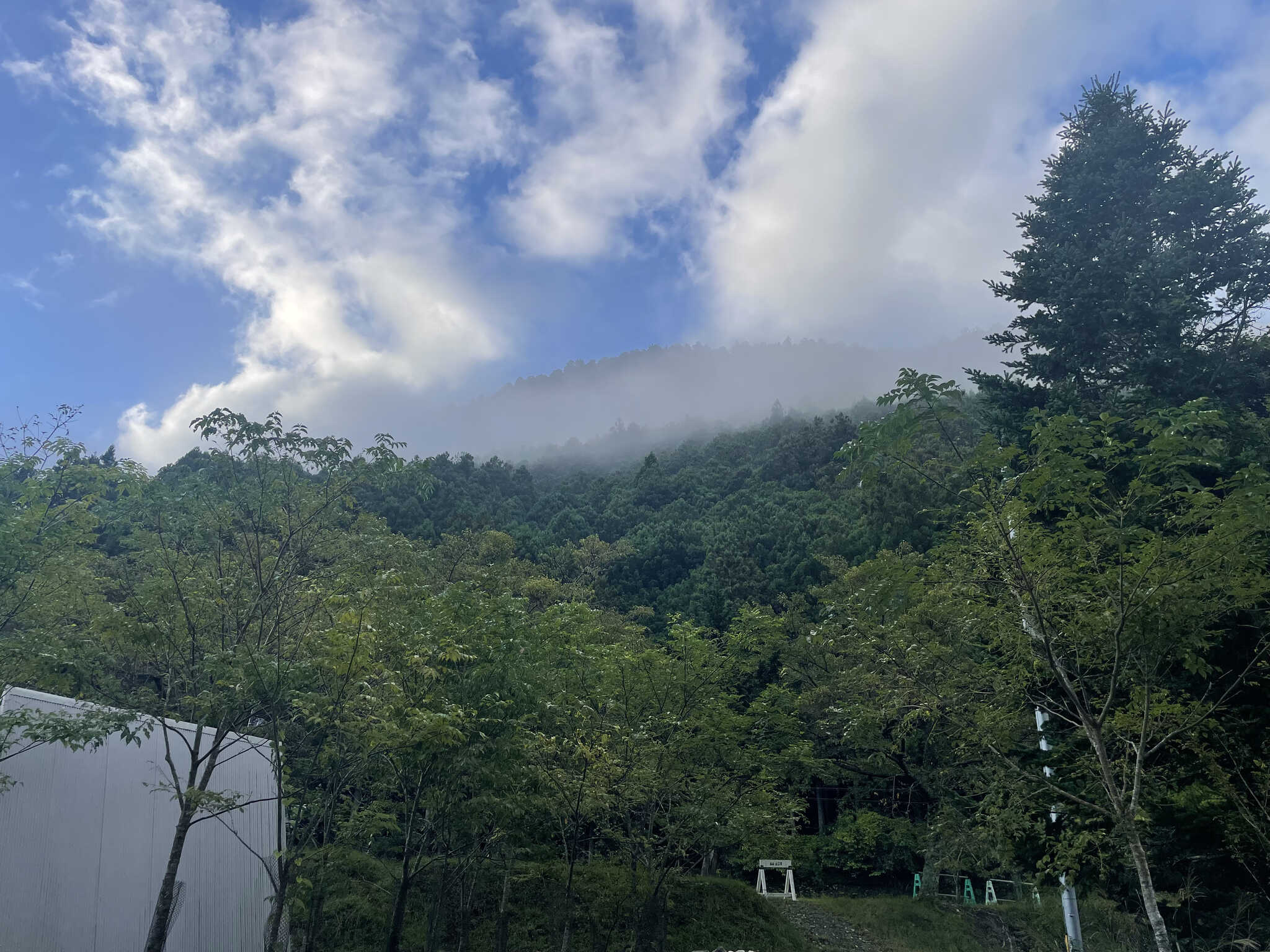 朝の景色