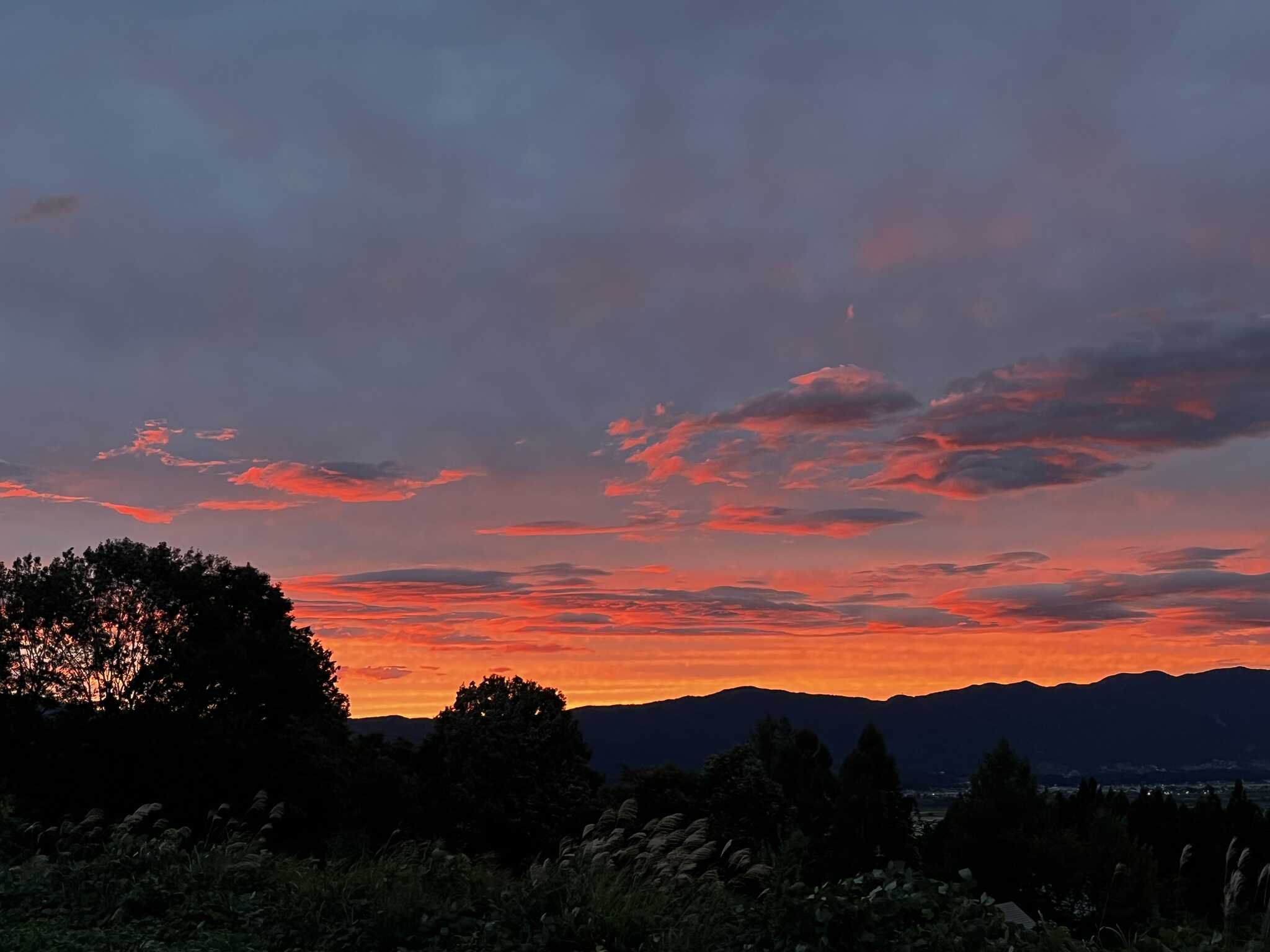夕暮れ
