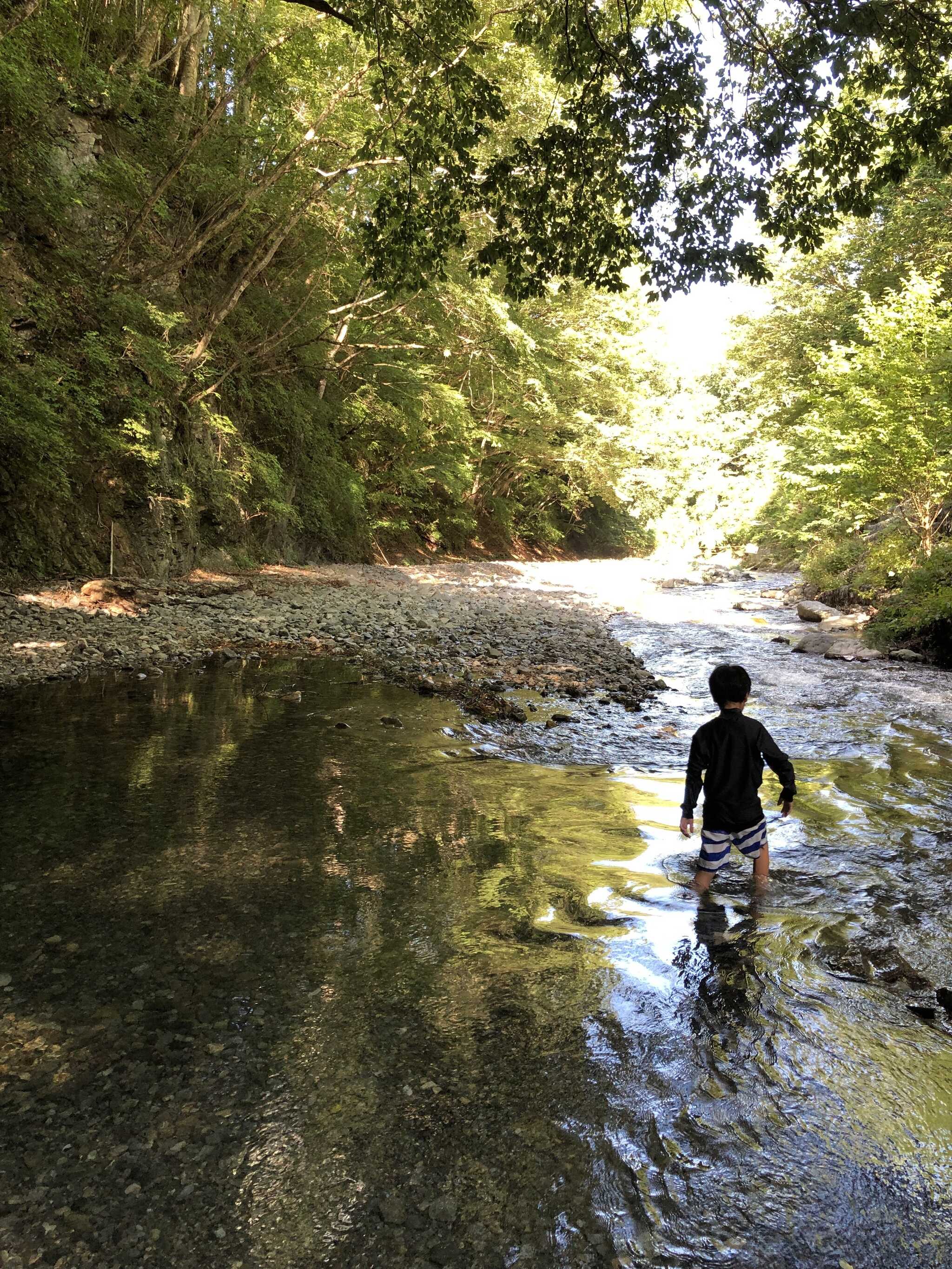 綺麗な川!