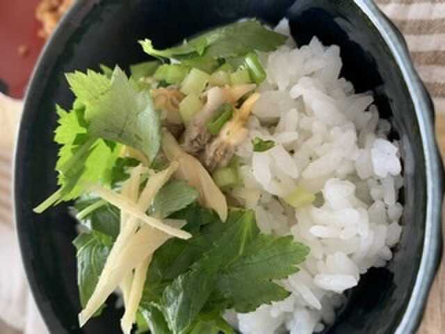 若洲公園キャンプ場