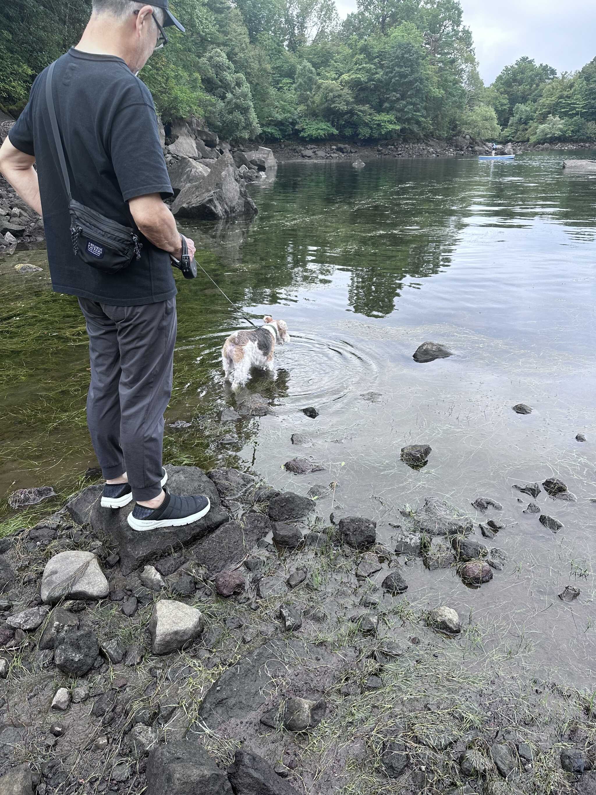 湖畔の状況